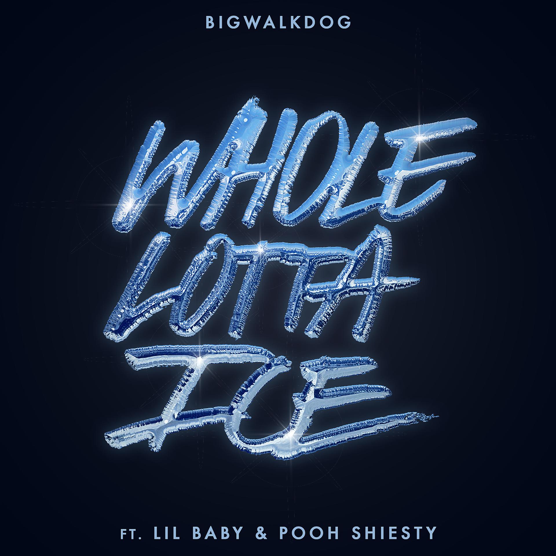 Постер альбома Whole Lotta Ice (feat. Lil Baby & Pooh Shiesty)