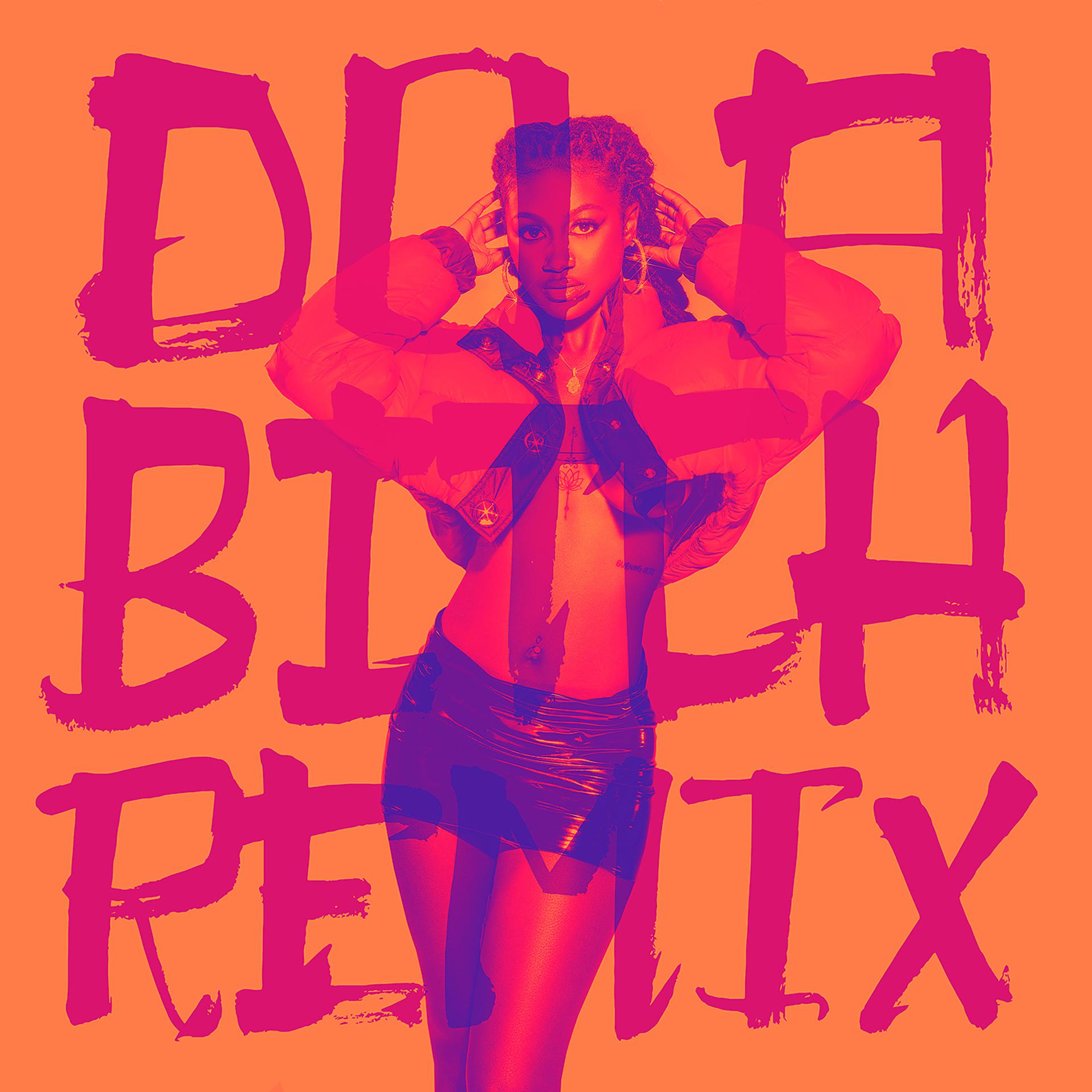 Постер альбома Do A Bitch (Remix) [feat. Rico Nasty]