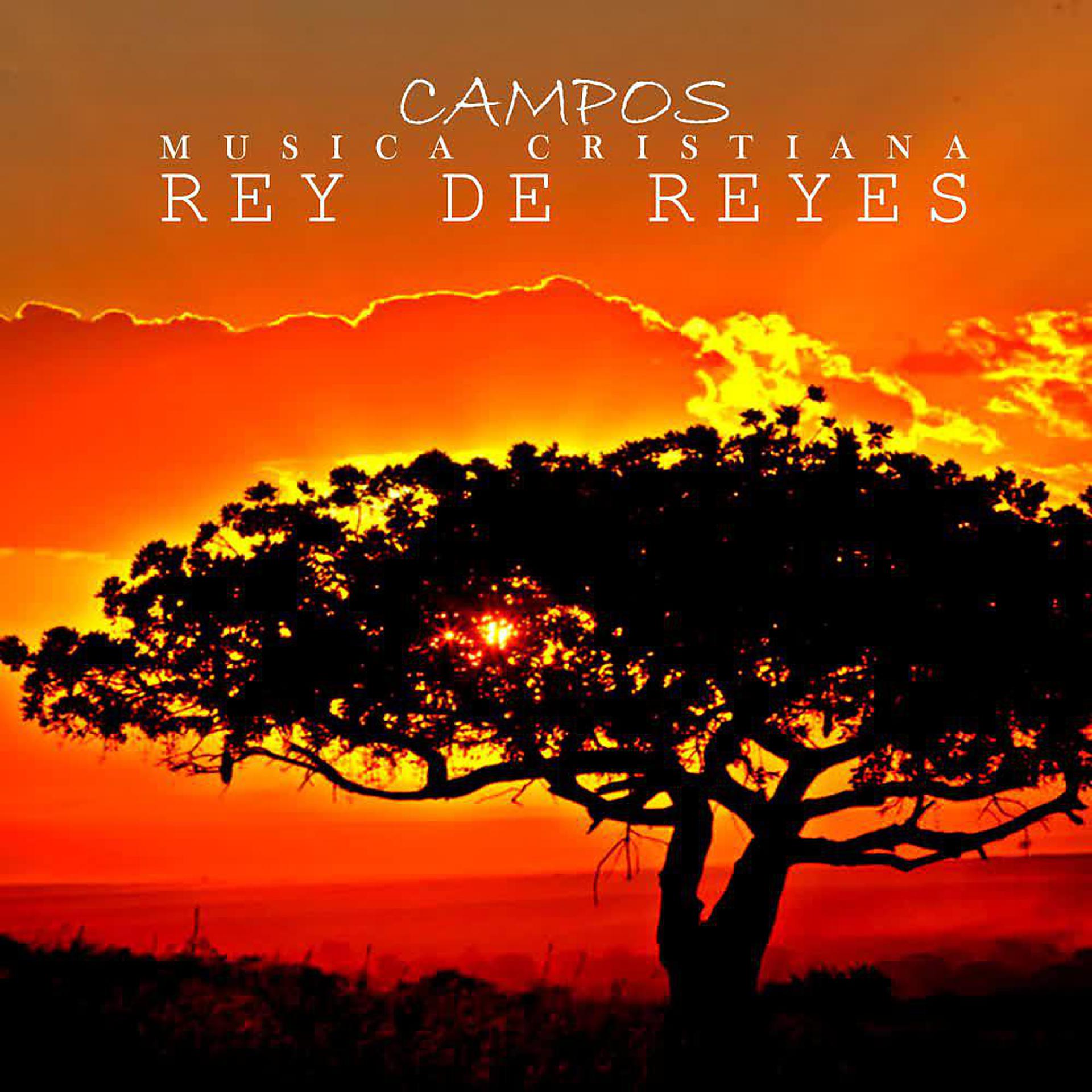 Постер альбома Rey de Reyes (Musica Cristiana)