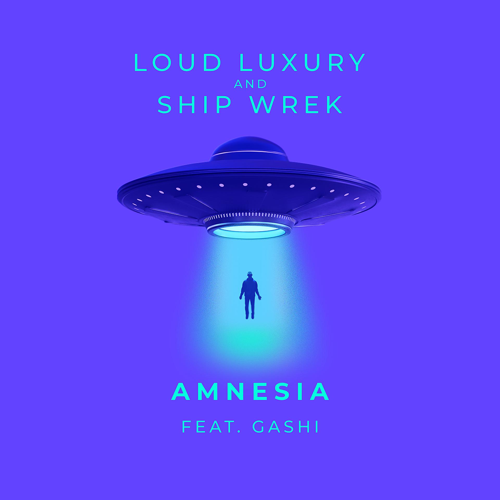 Постер альбома Amnesia (feat. GASHI)