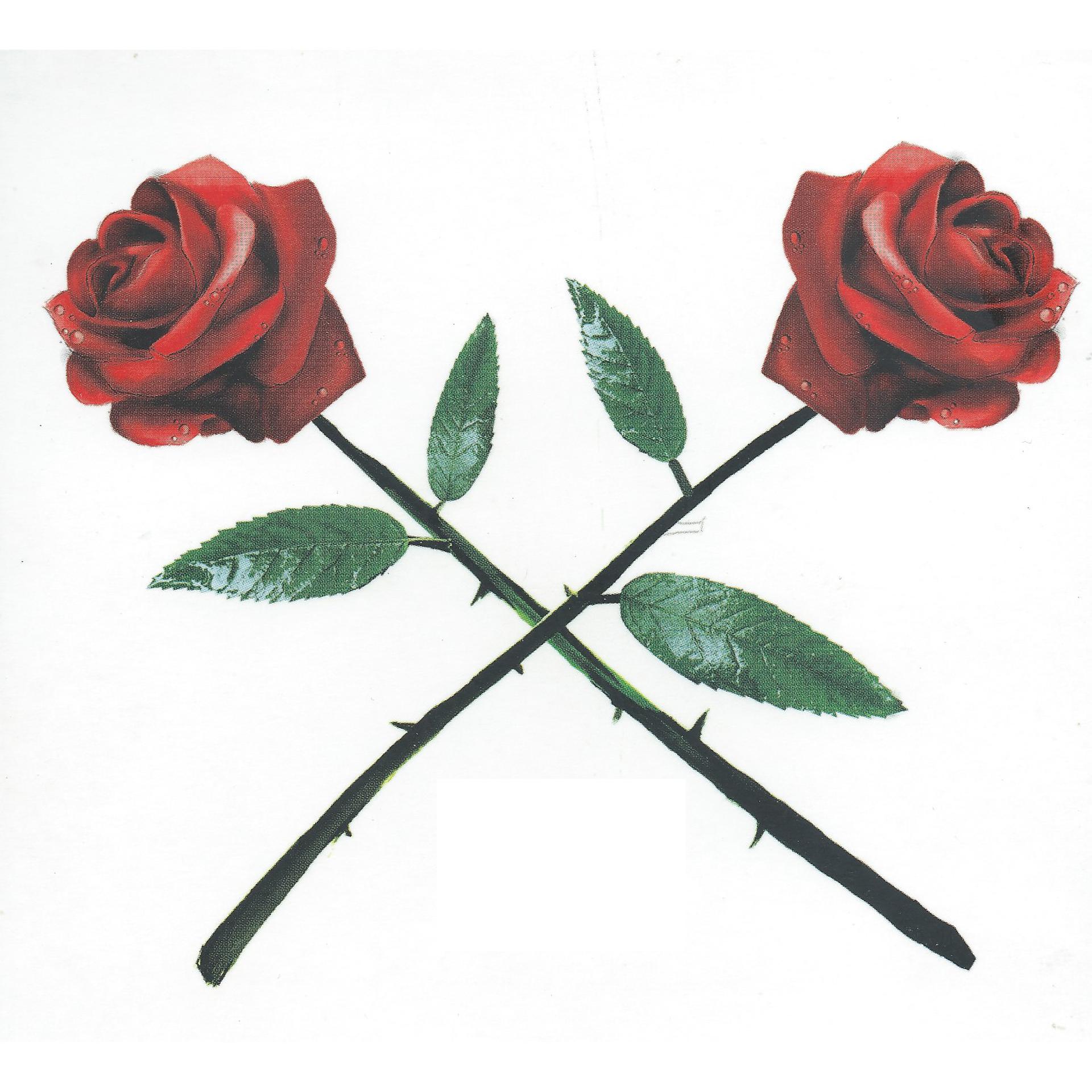 Постер альбома Розы, кресты и крыши Милана