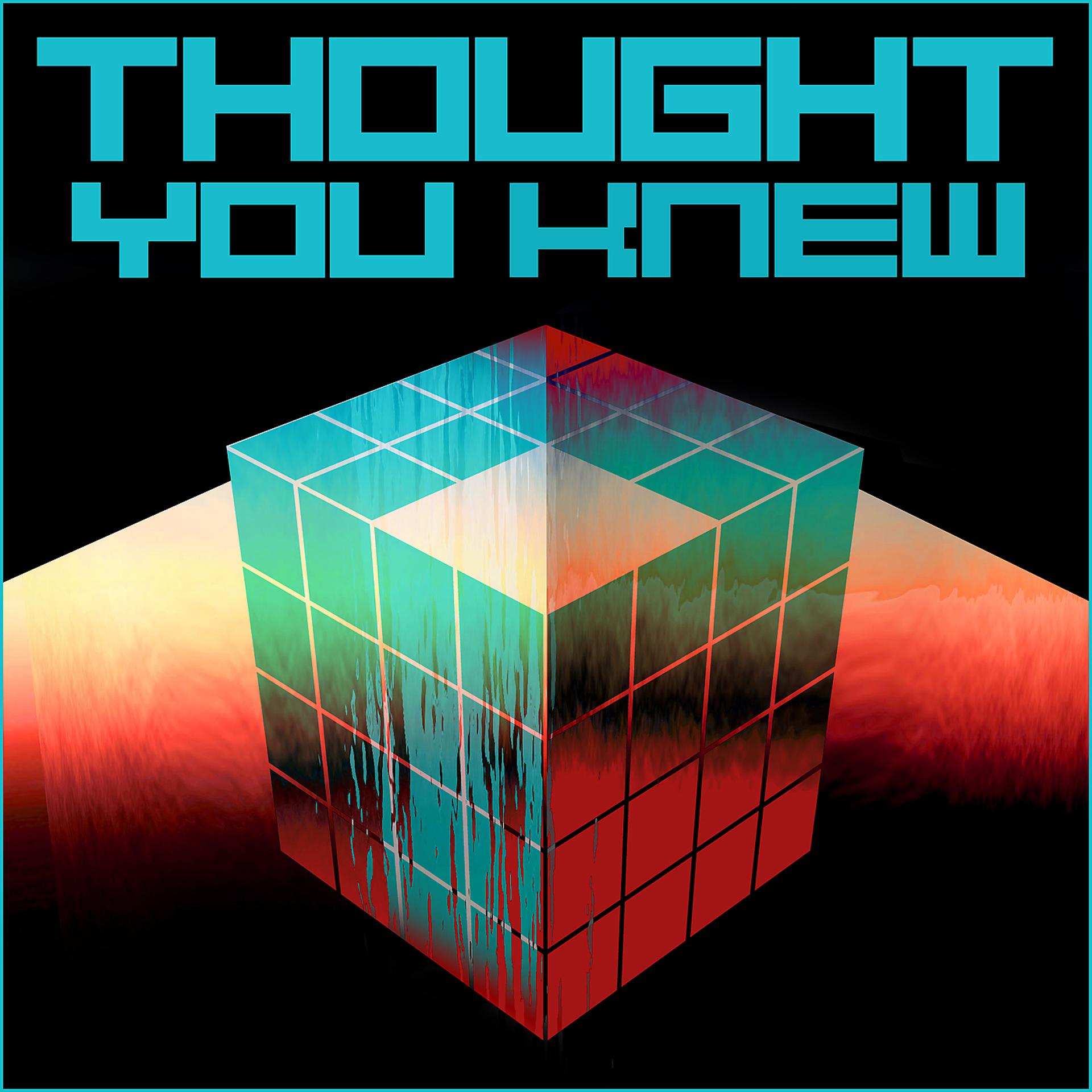 Постер альбома Thought You Knew