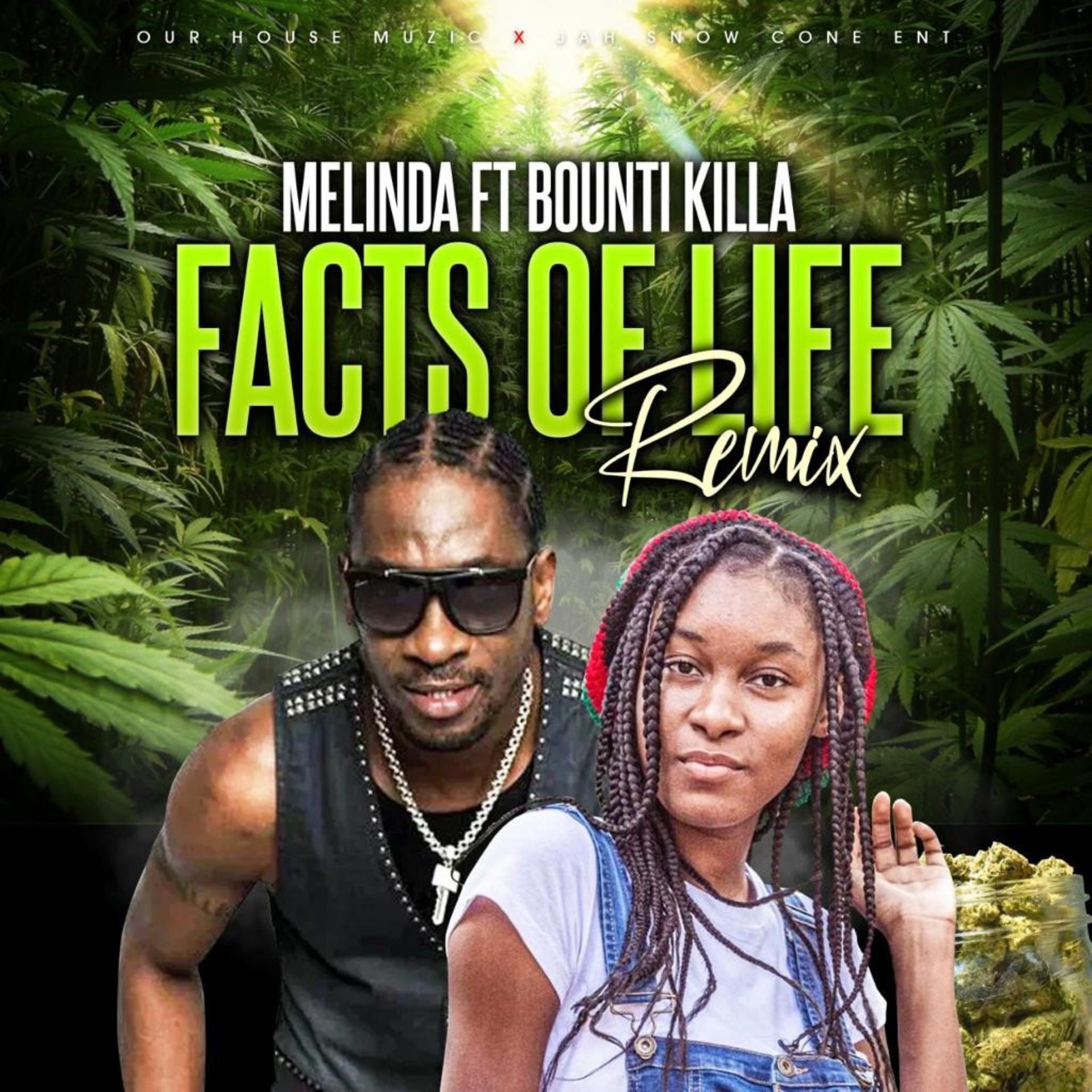 Постер альбома Facts of Life (Remix)