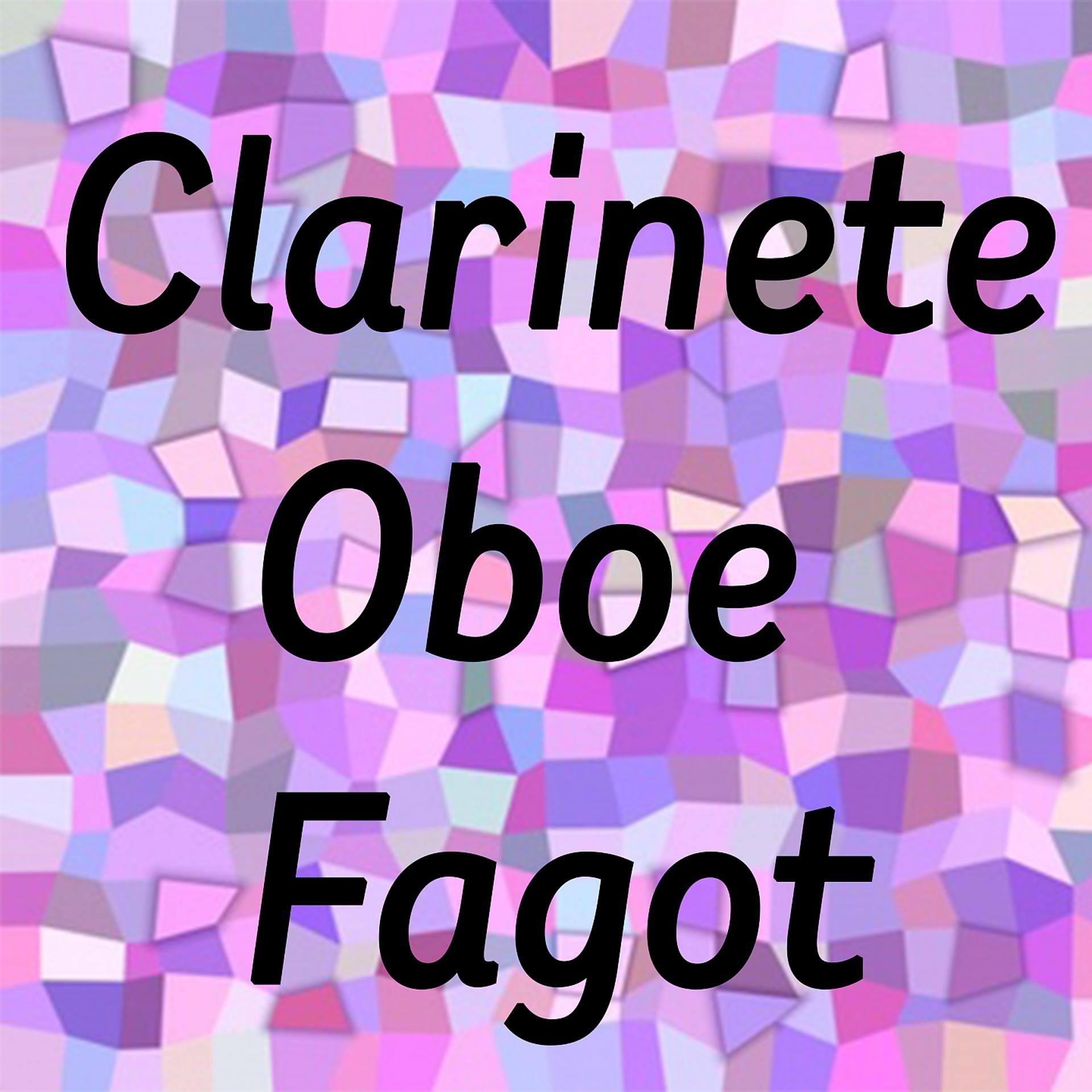 Постер альбома Clarinete, Oboe y Fagot