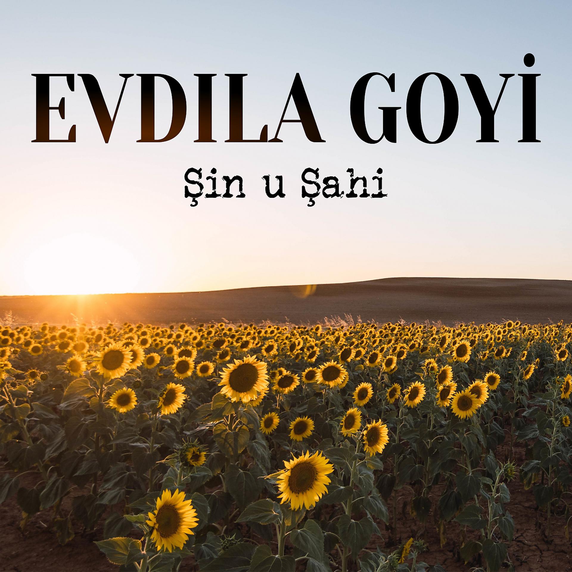 Постер альбома Şin U Şahi