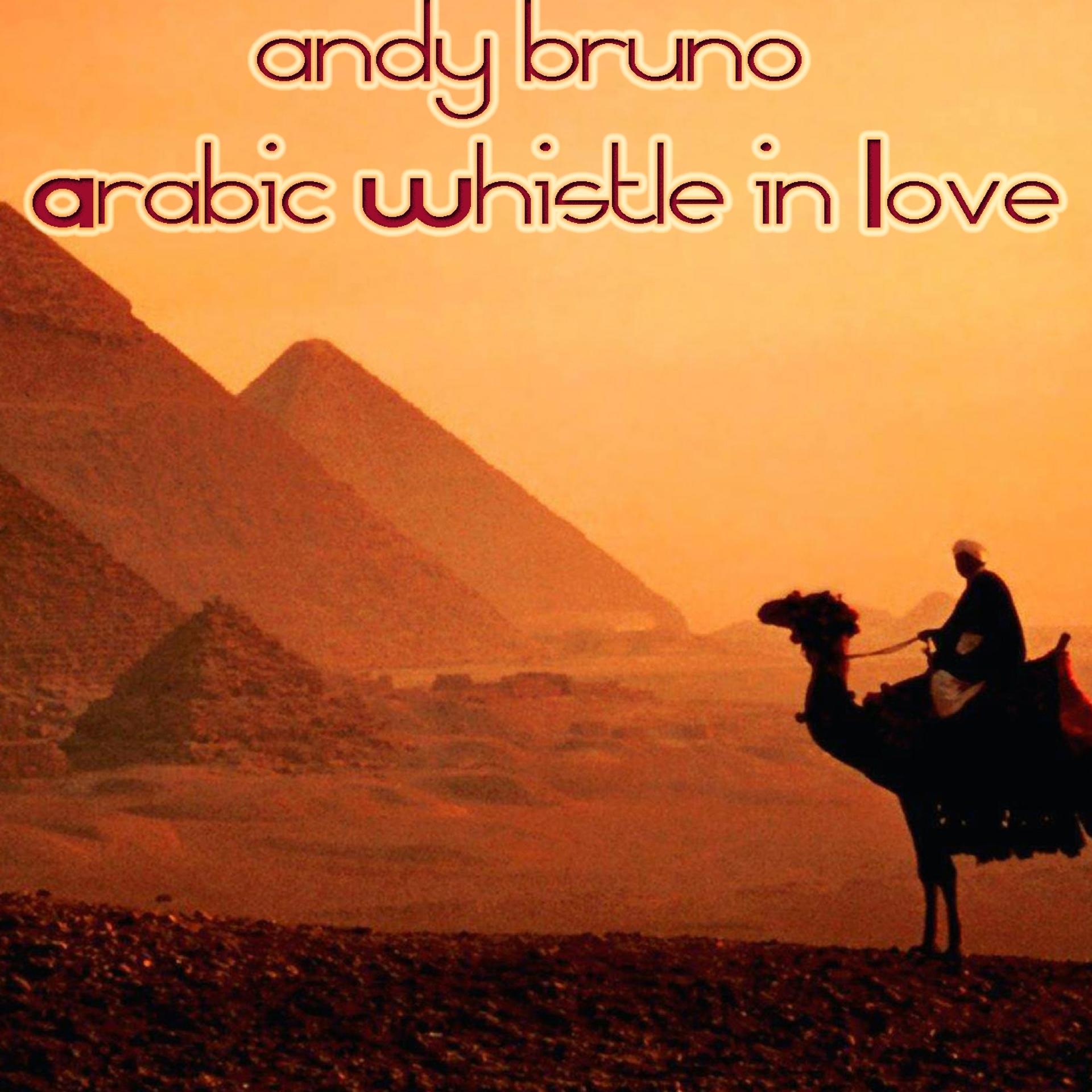 Постер альбома Arabic Whistle in Love