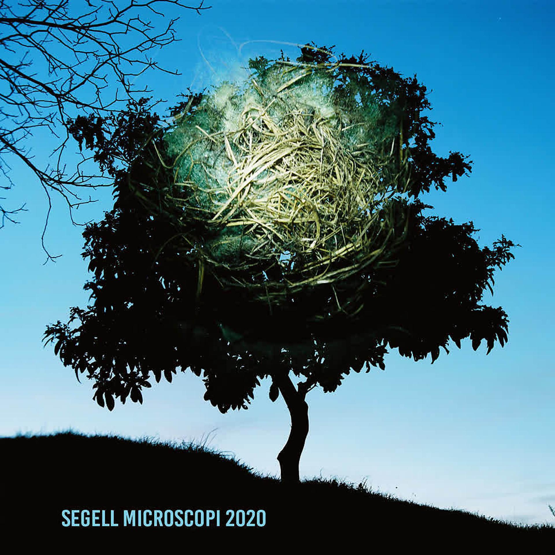 Постер альбома Segell Microscopi 2020