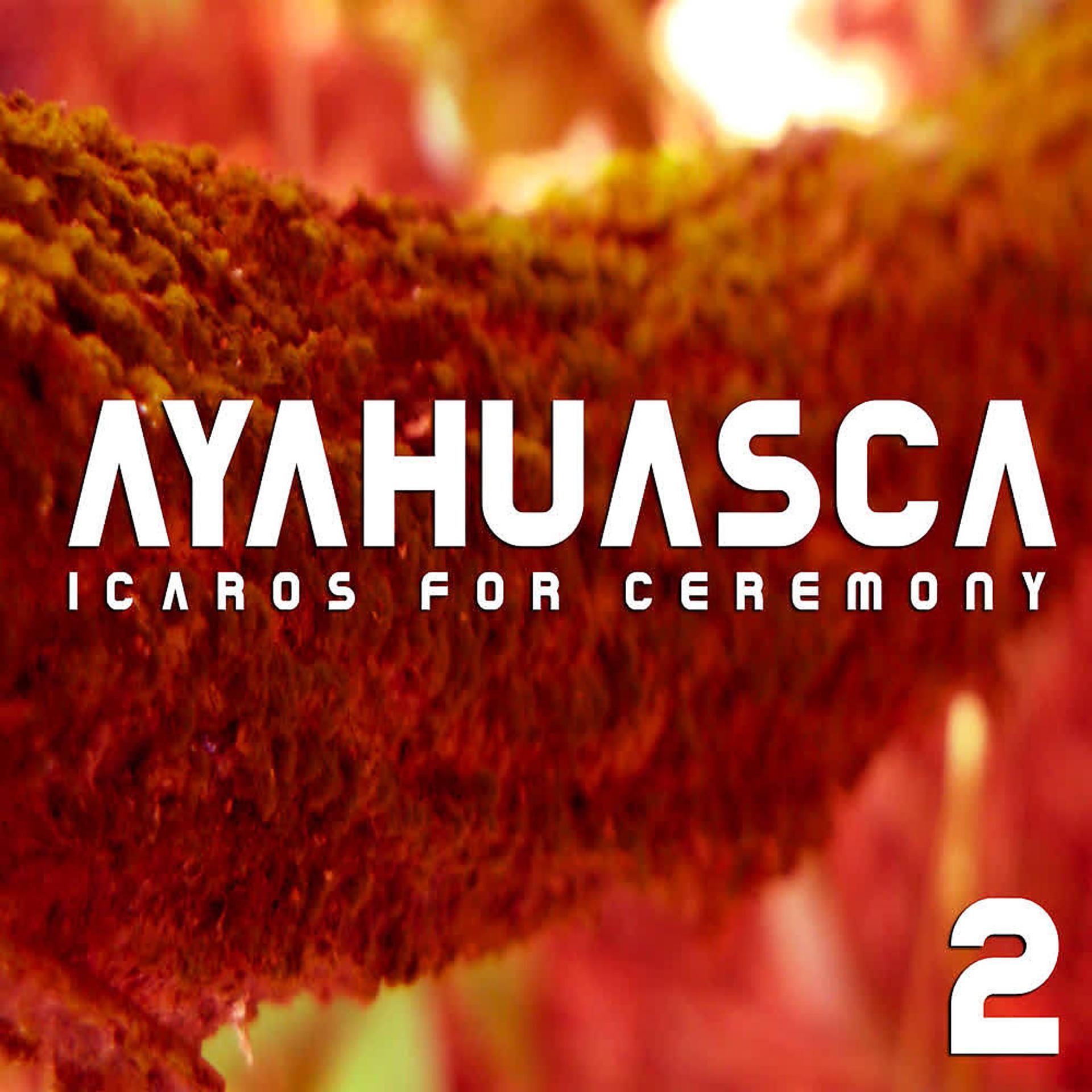 Постер альбома Icaros For Ceremony (Vol. 2)