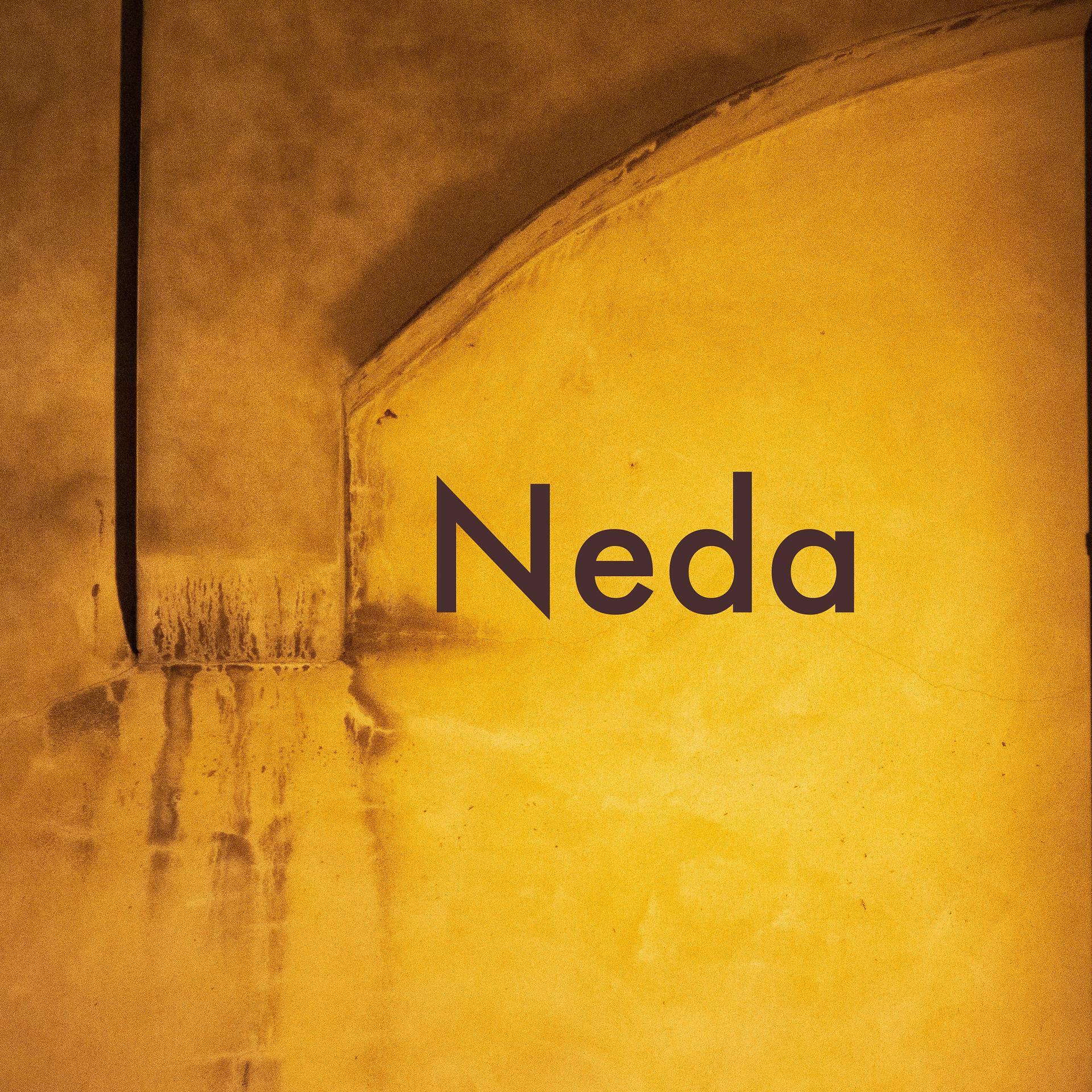 Постер альбома Neda