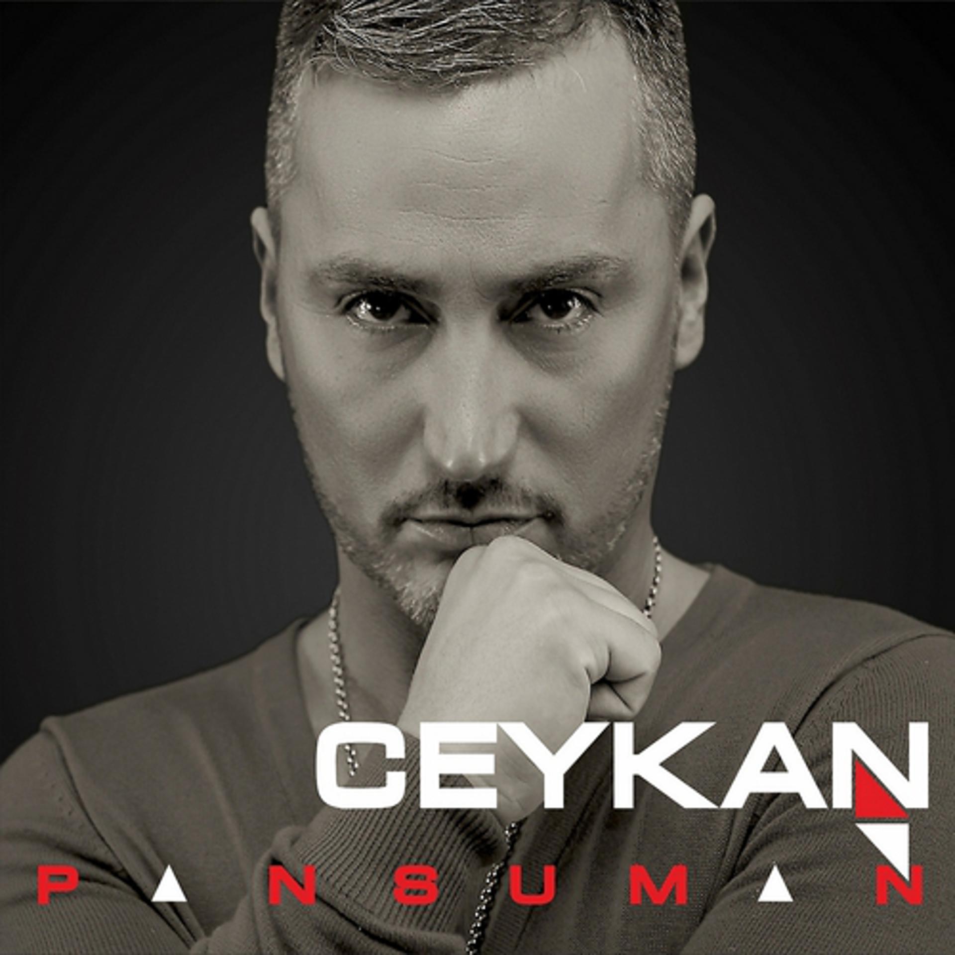 Постер альбома Pansuman