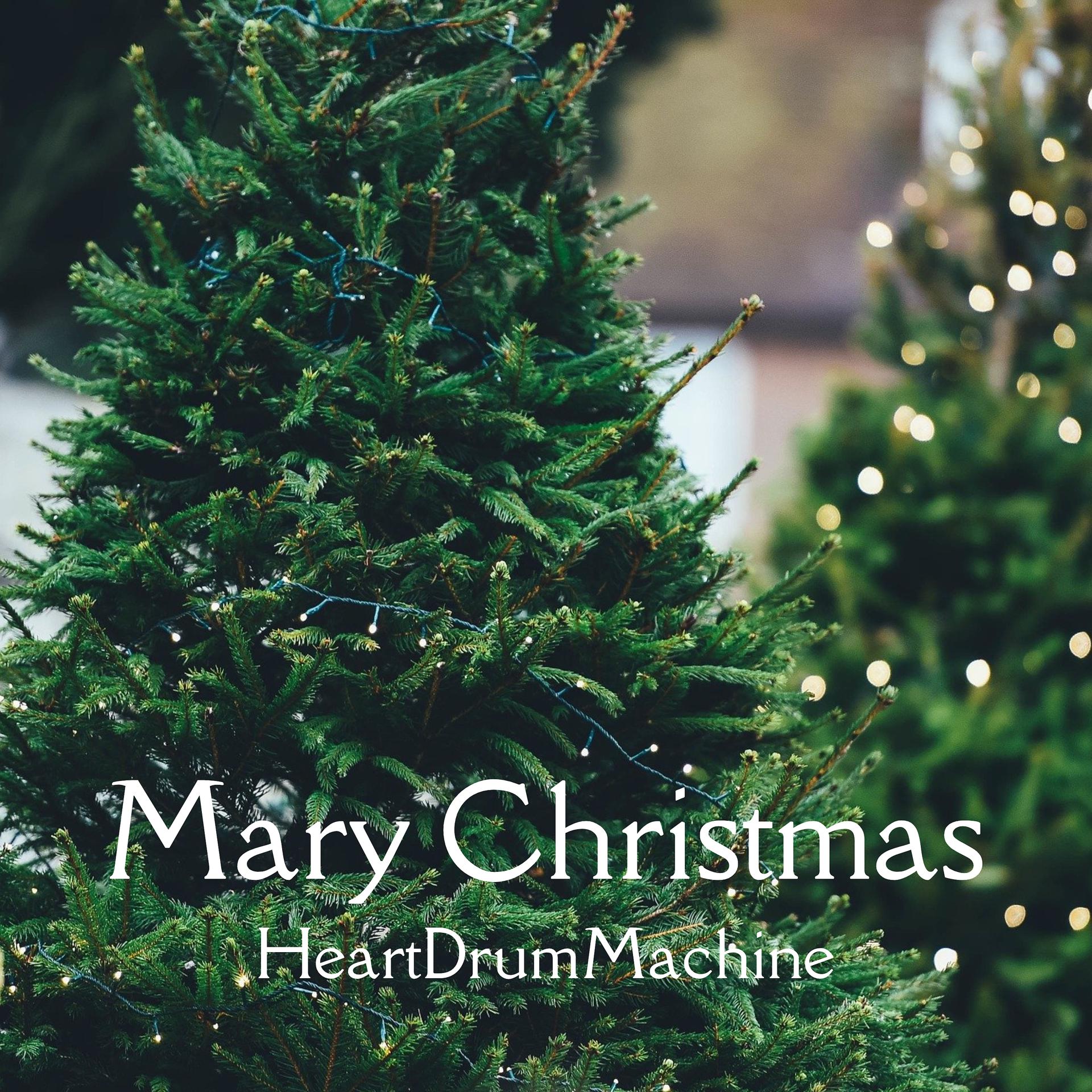 Постер альбома Mary Christmas