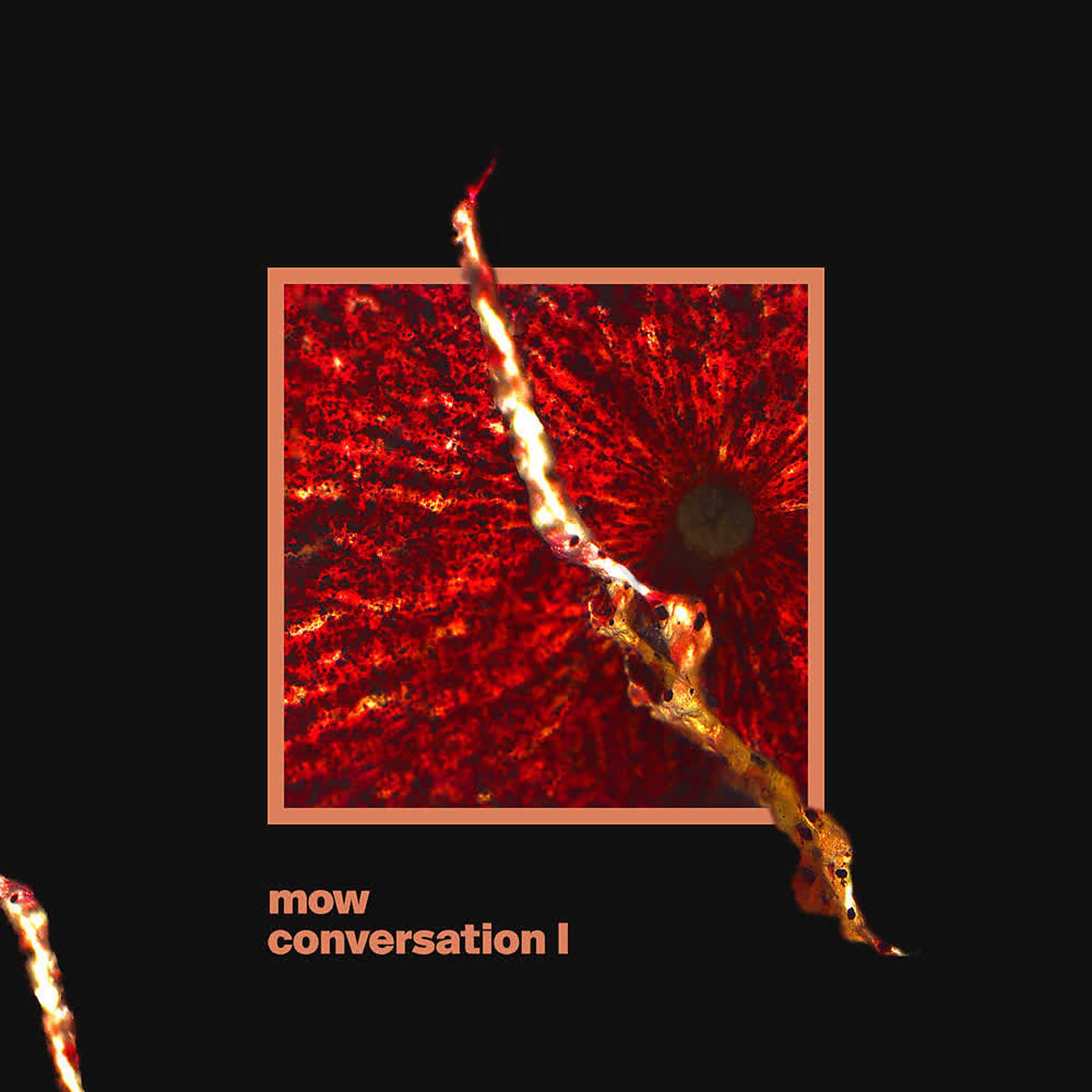 Постер альбома Conversation I