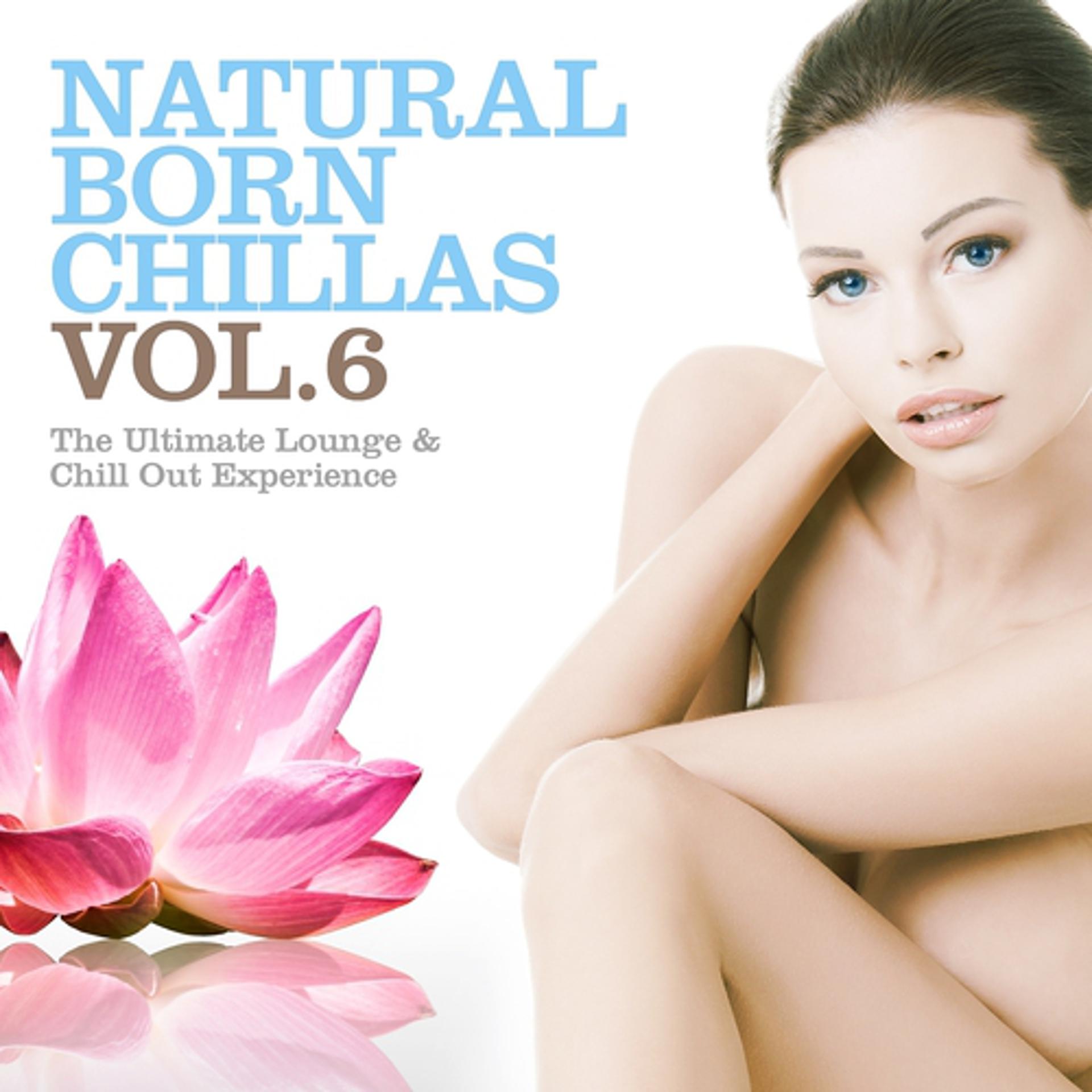 Постер альбома Natural Born Chillas, Vol. 6