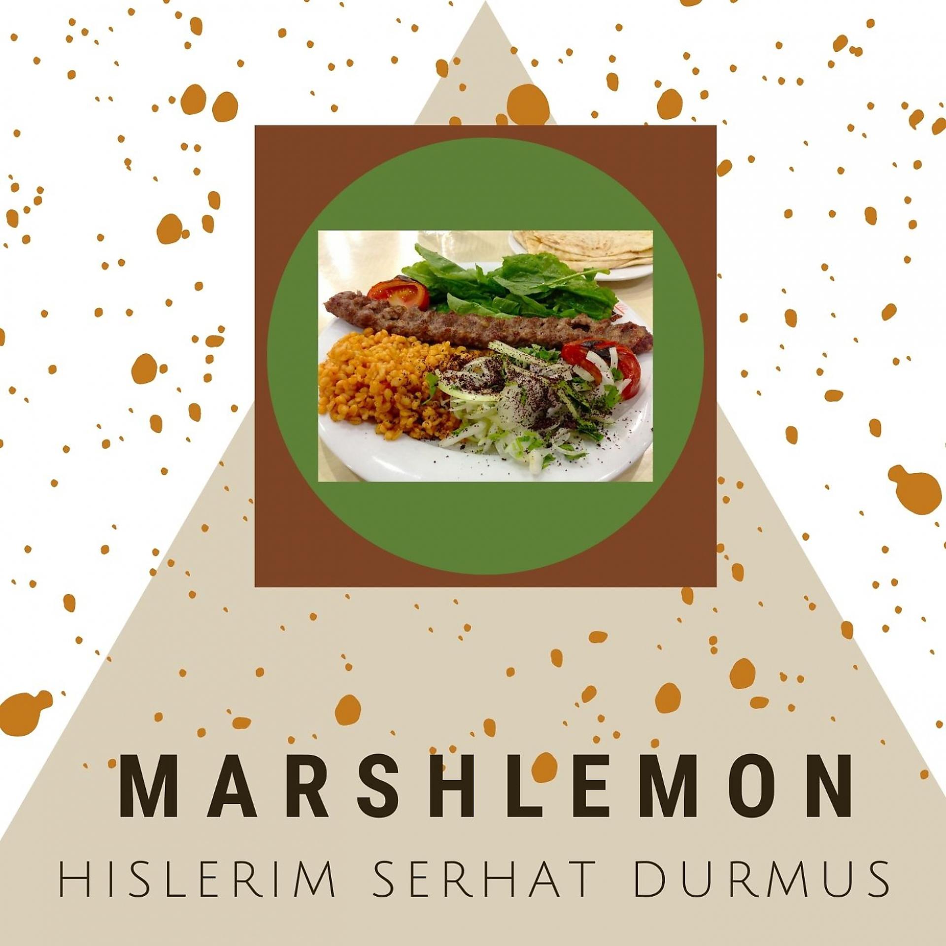 Постер альбома Hislerim Serhat Durmus