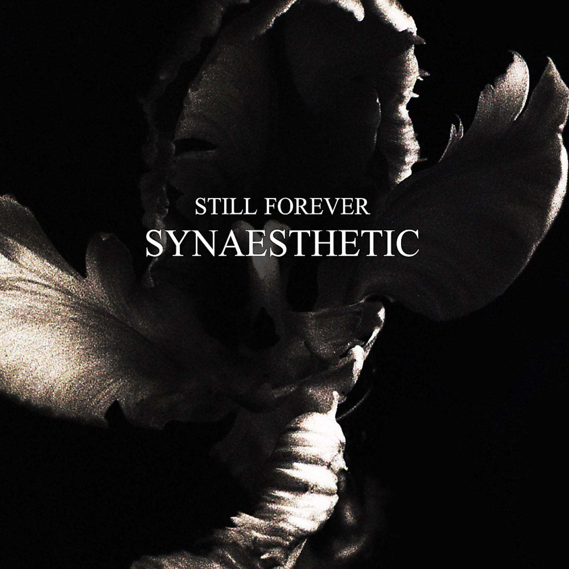 Постер альбома Synaesthetic