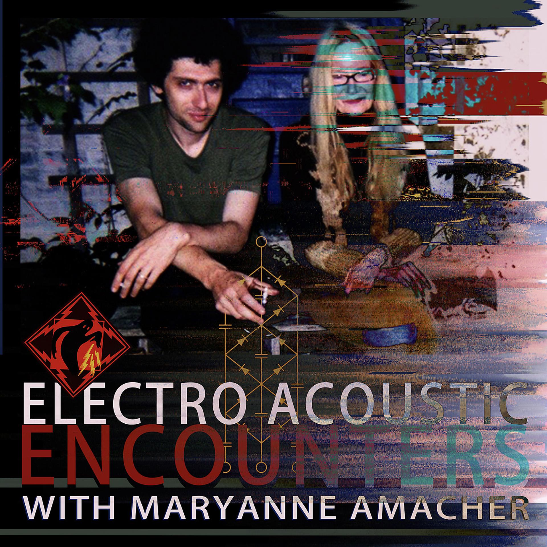 Постер альбома Electroacoustic Encounters With Maryanne Amacher