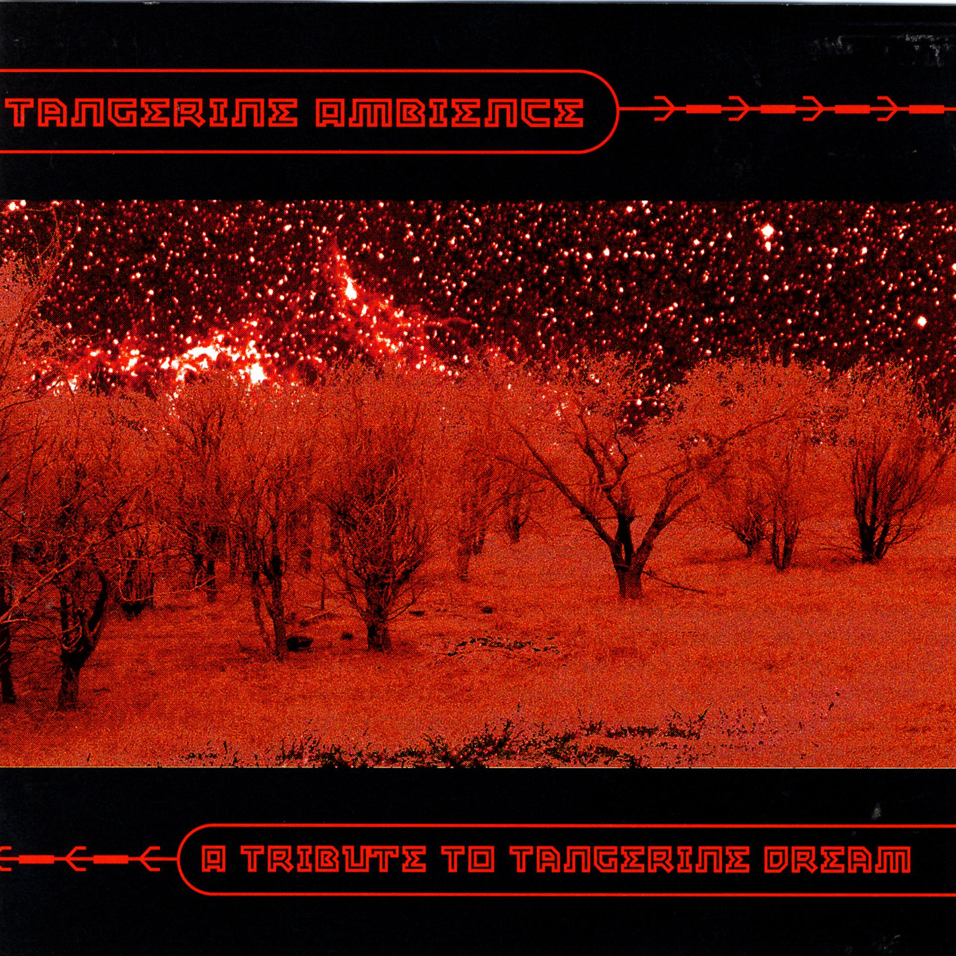 Постер альбома Tangerine Ambience - A Tribute To Tangerine Dream