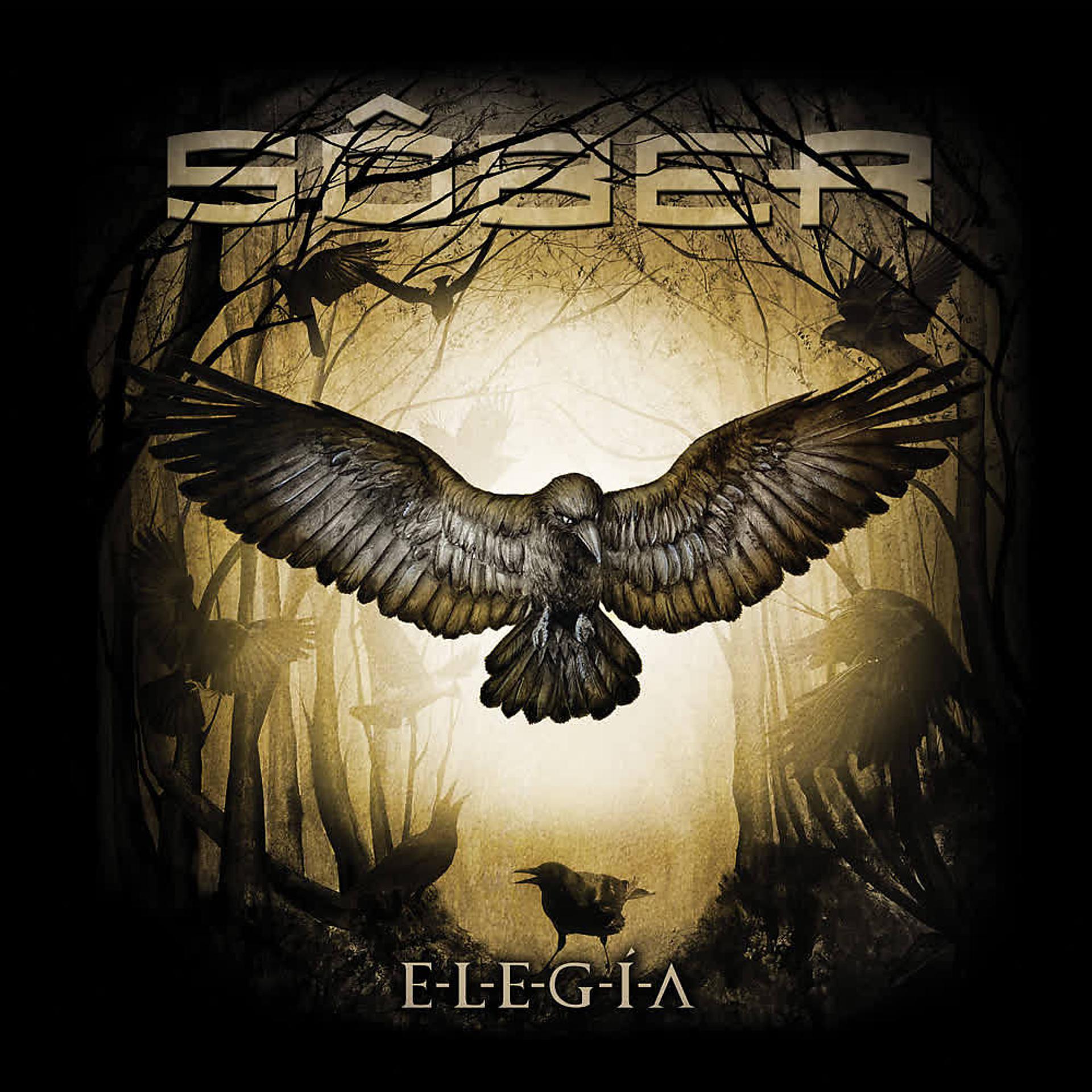 Постер альбома ELEGÍA