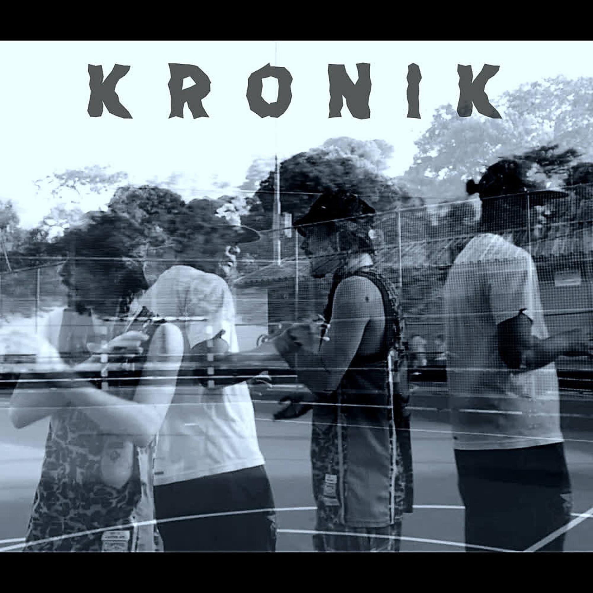 Постер альбома Kronik