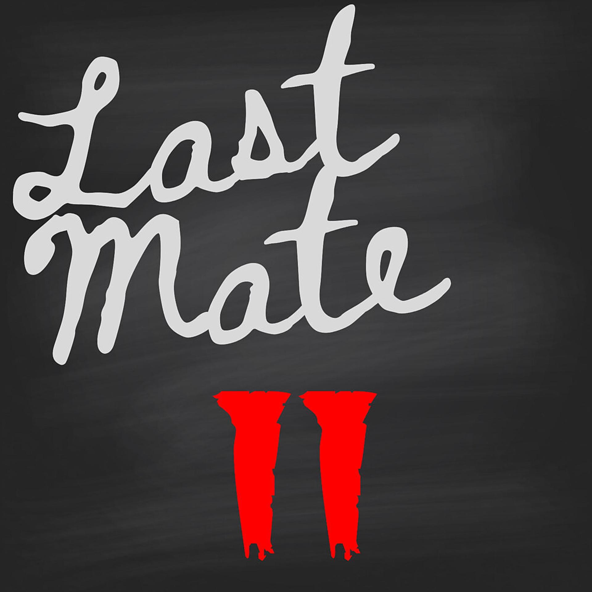 Постер альбома Last Mate II