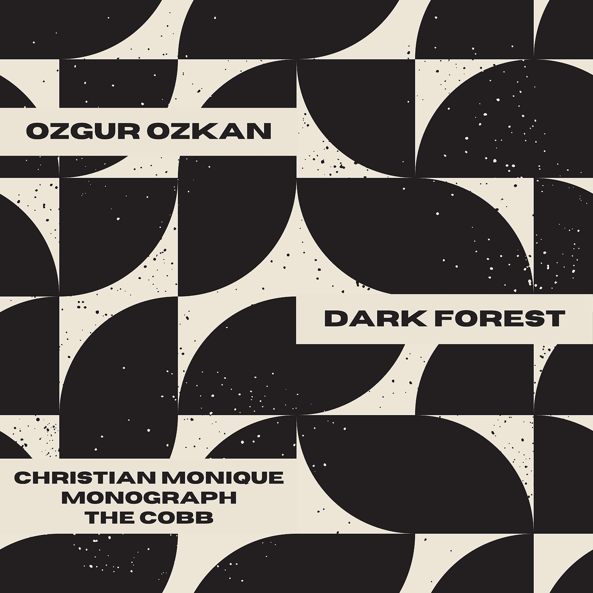 Постер альбома Dark Forest