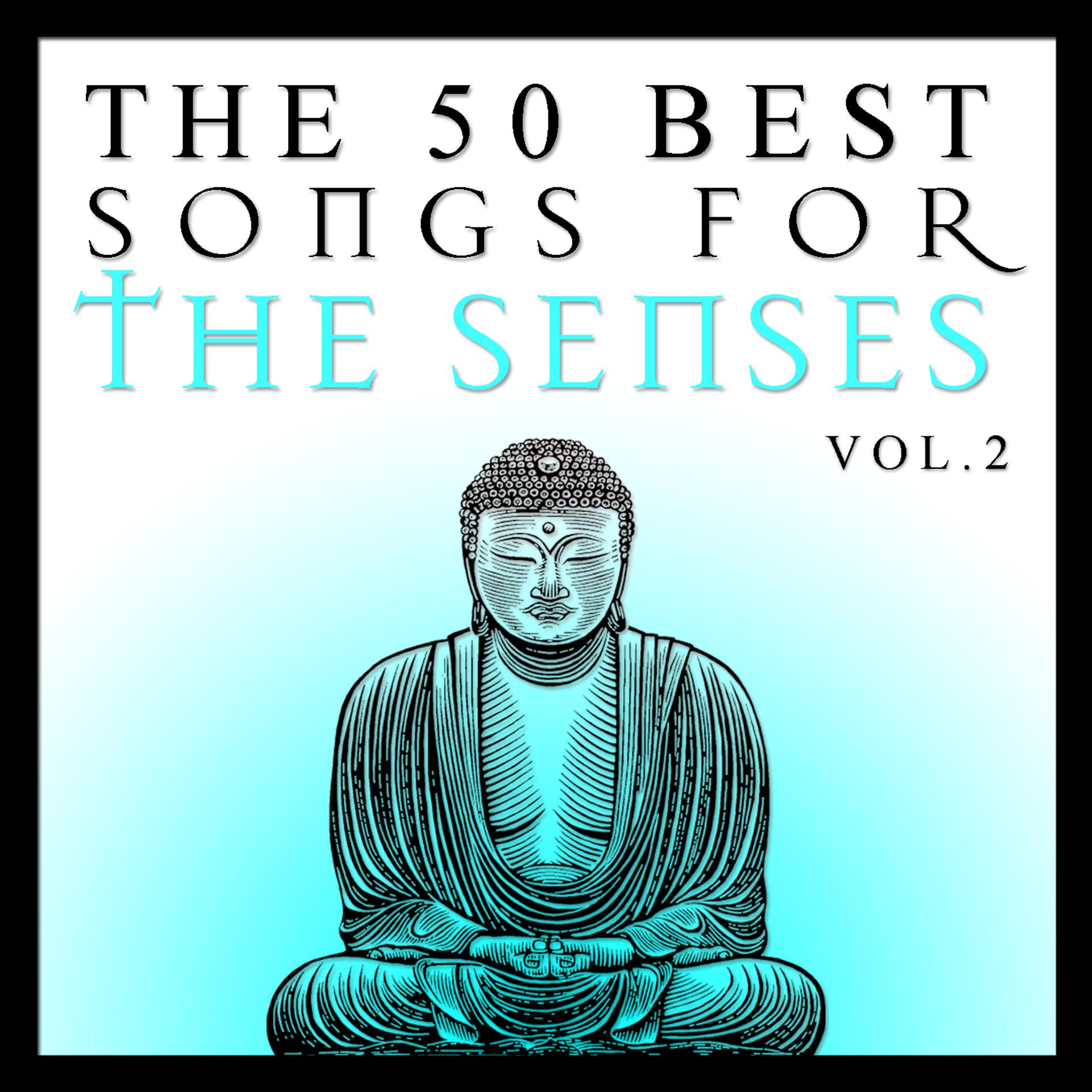 Постер альбома The 50 Best Songs for the Senses Vol.2
