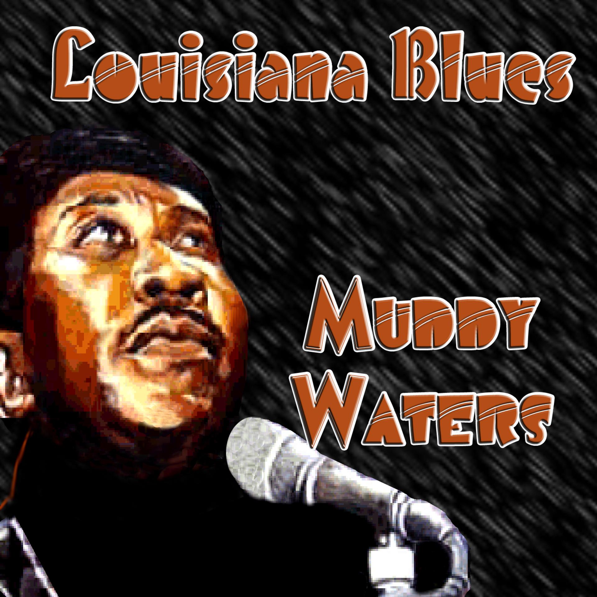 Постер альбома Louisiana Blues