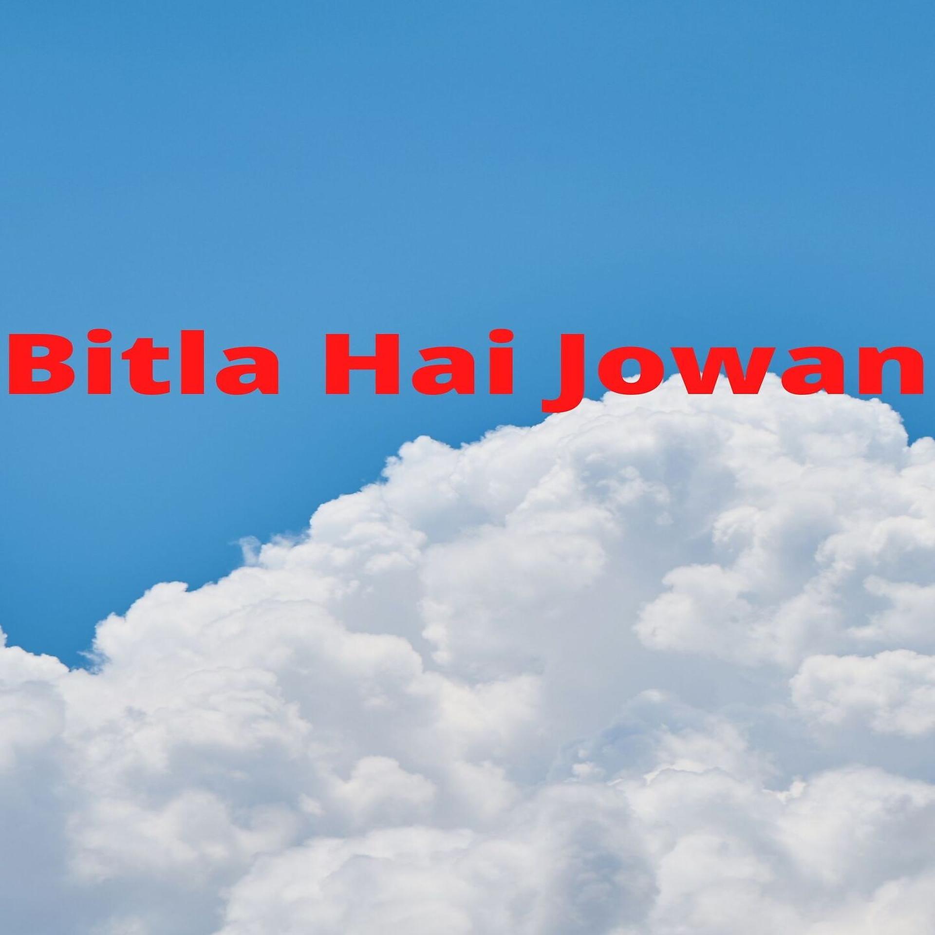 Постер альбома Bitla Hai Jowan