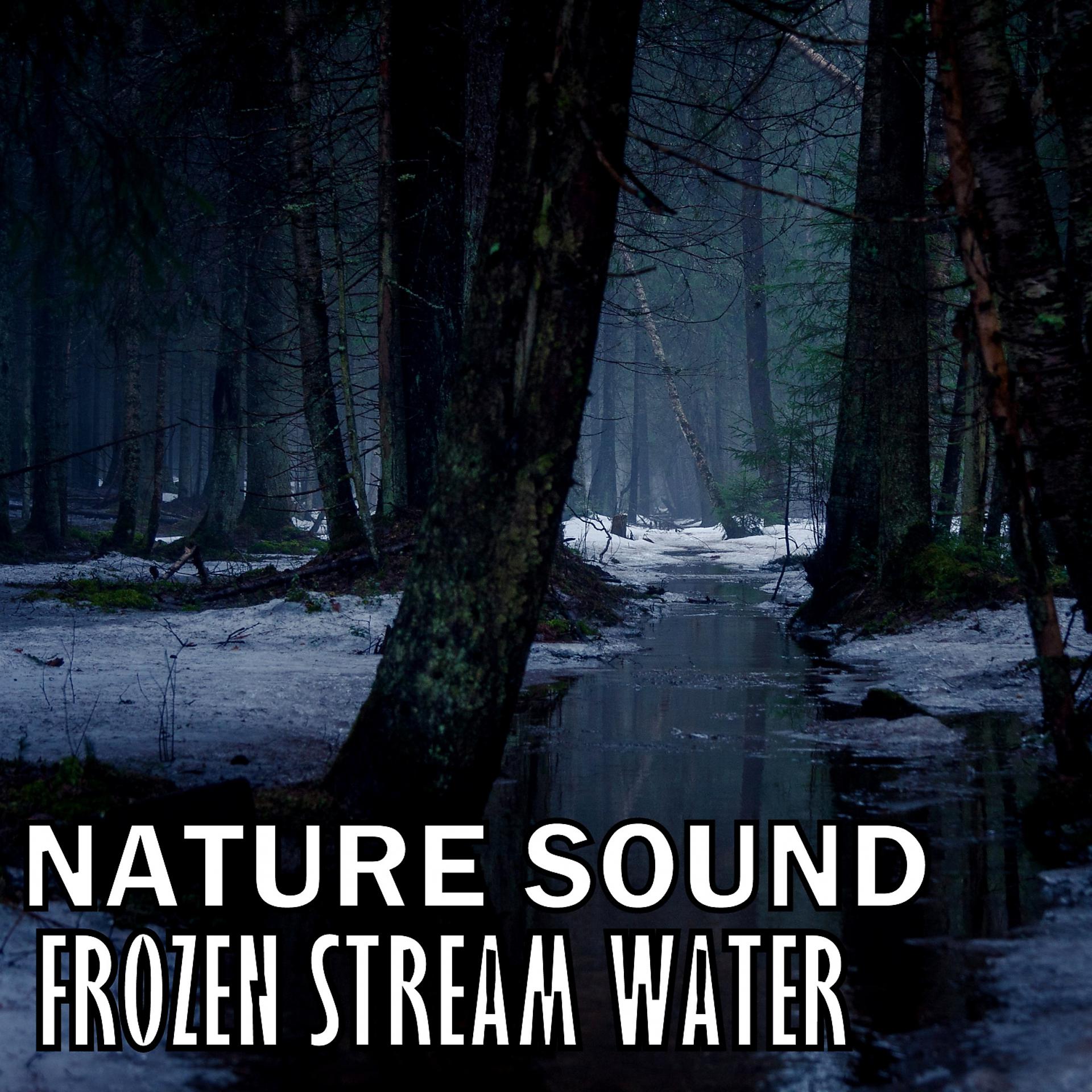 Постер альбома Nature Sound: Frozen Stream Water