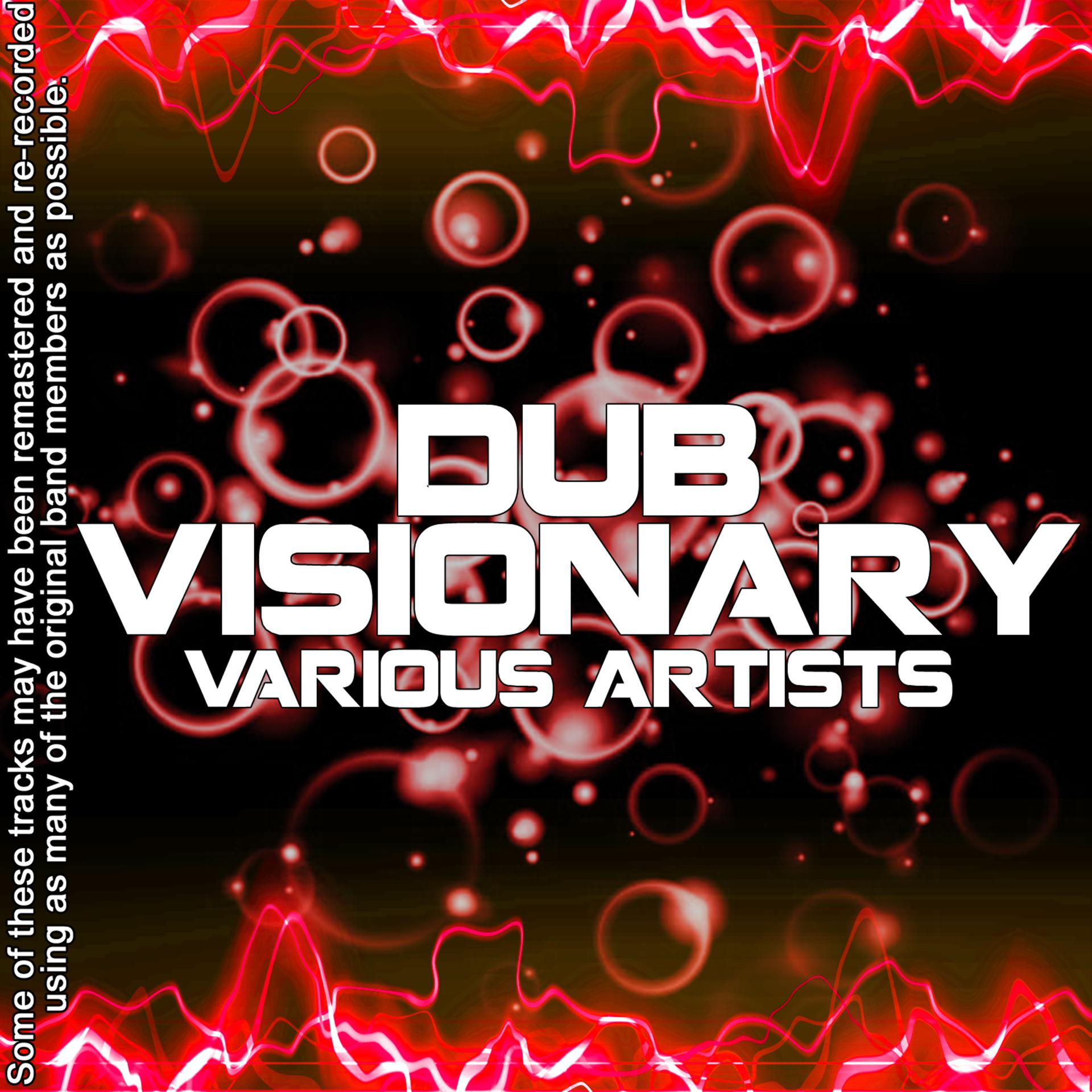 Постер альбома Dub Visionary