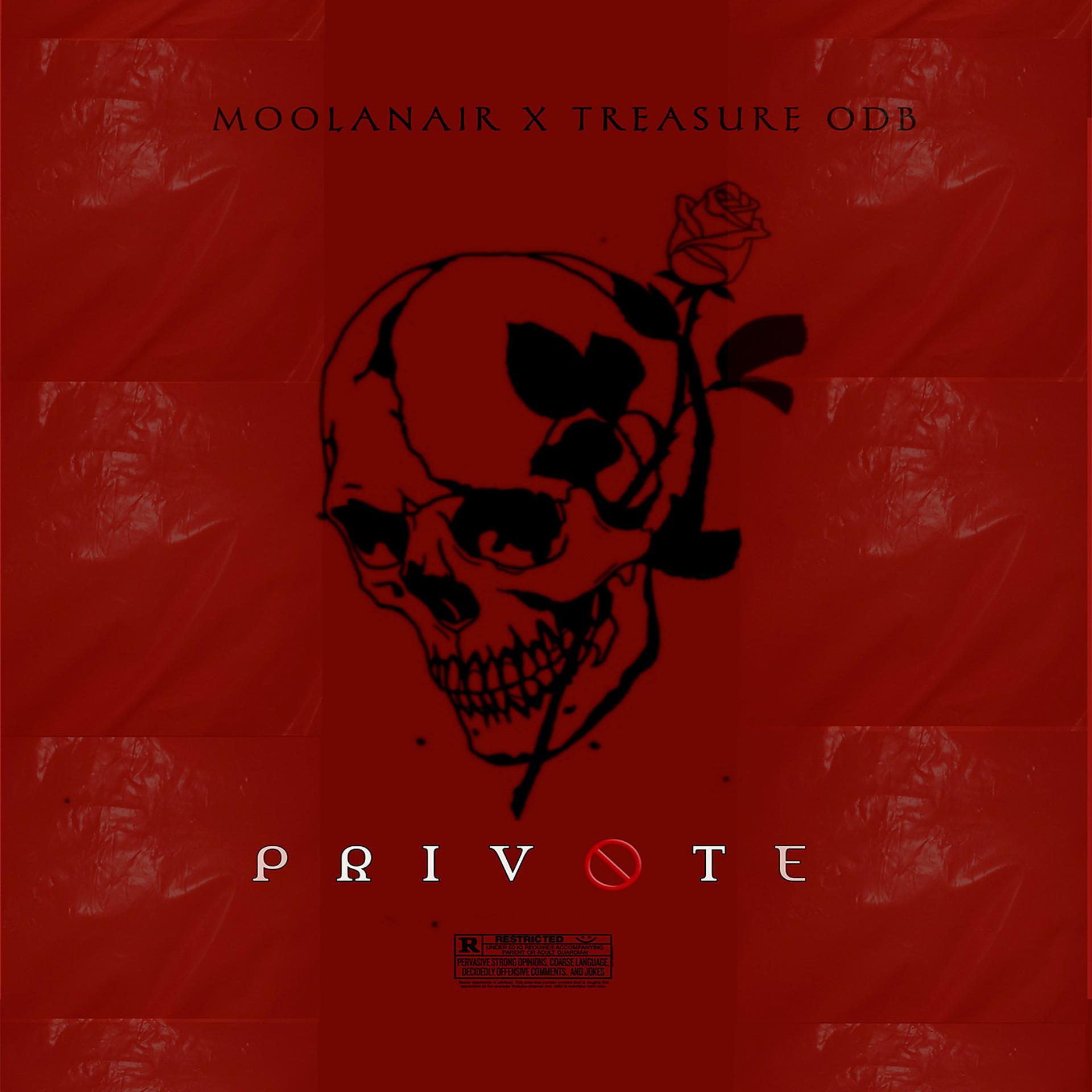 Постер альбома Private