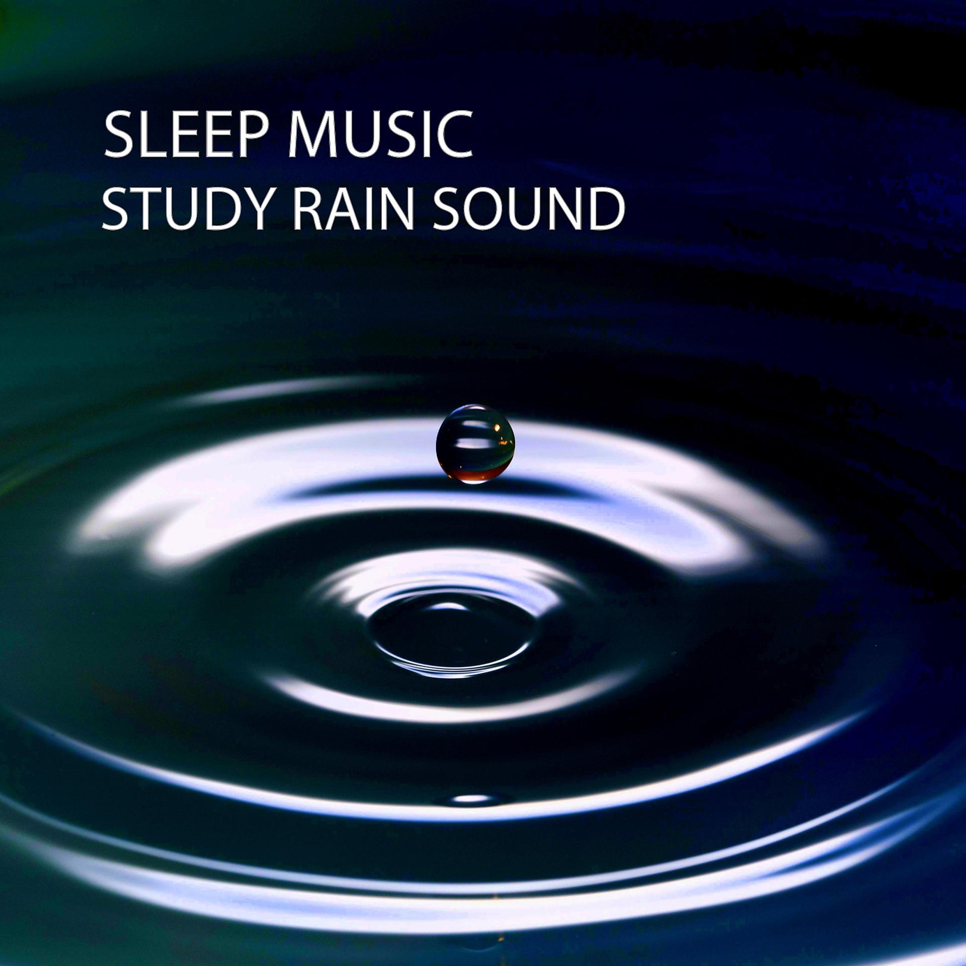 Постер альбома Sleep Music: Study Rain Sound