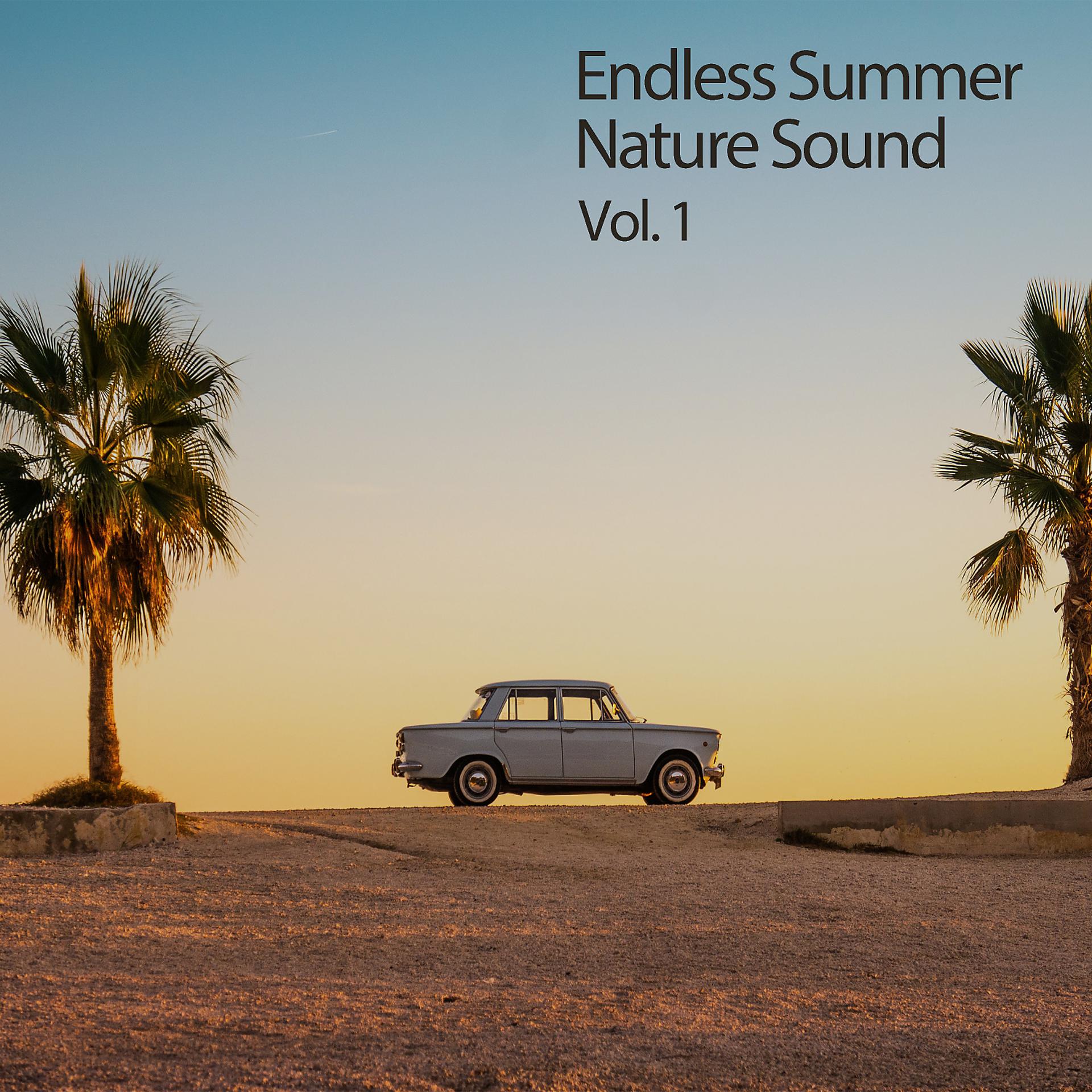Постер альбома Endless Summer Nature Sound Vol. 1