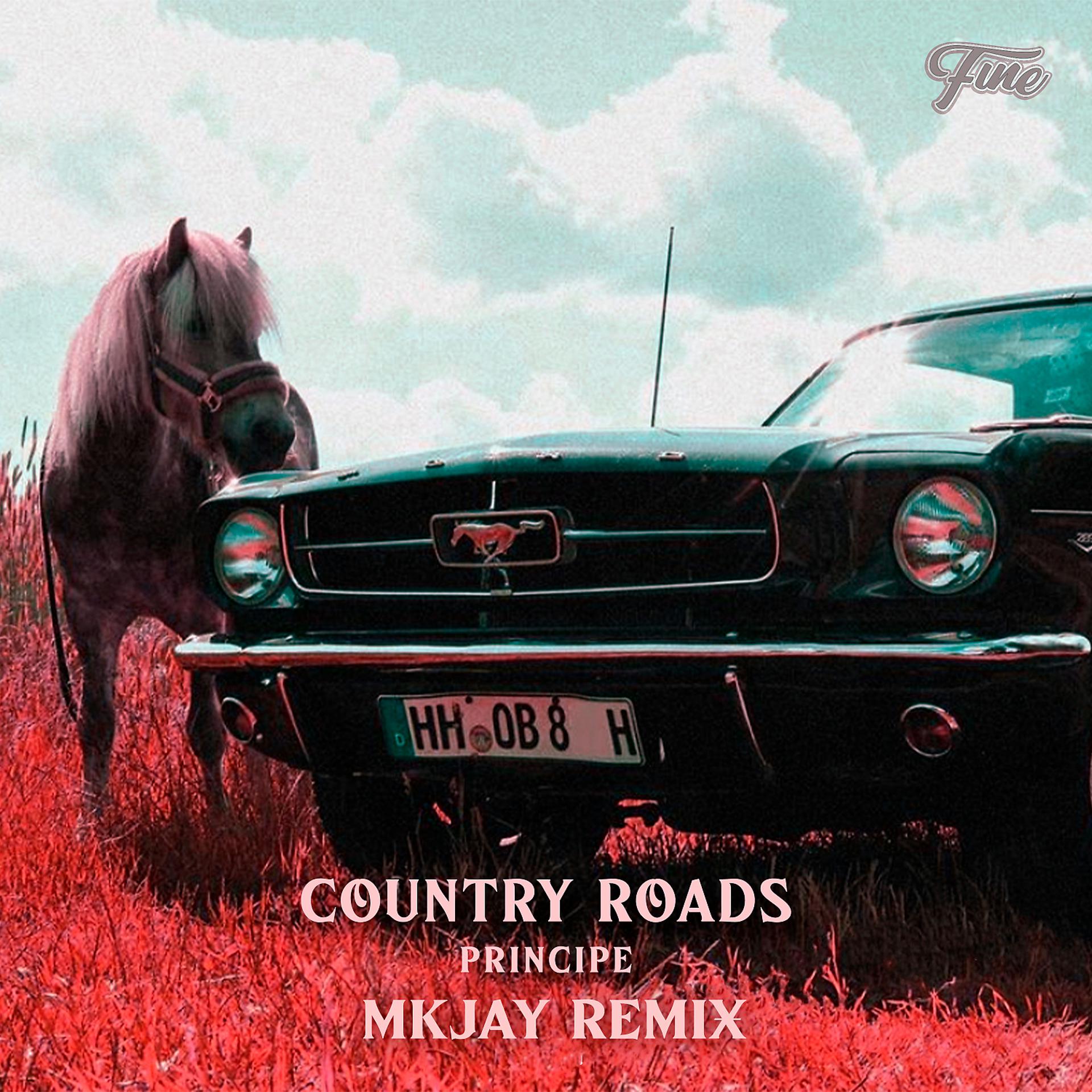 Постер альбома Country Roads (MKJAY Remix)