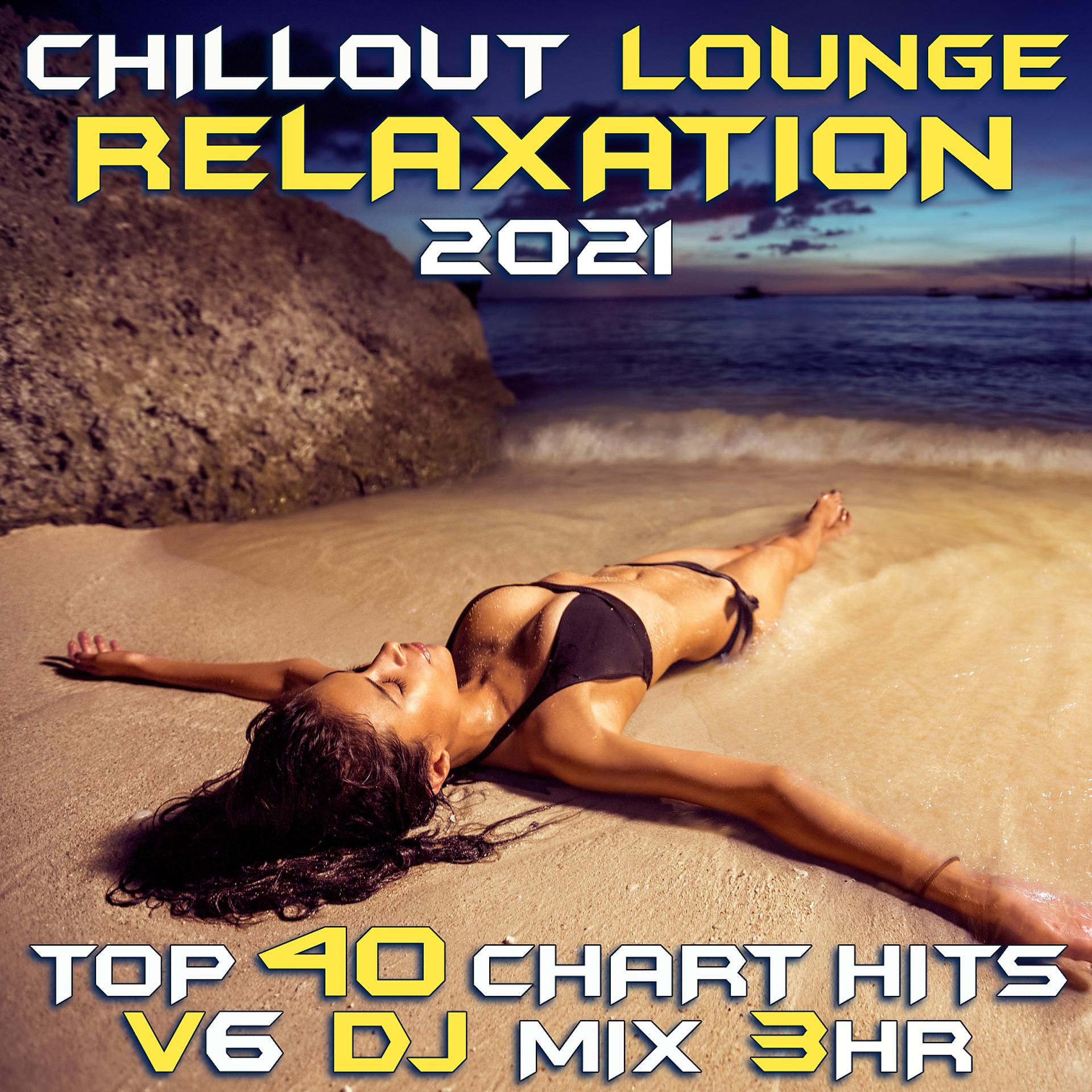 Постер альбома Chill Out Lounge Relaxation 2021 Top 40 Chart Hits, Vol. 5 DJ Mix 3Hr