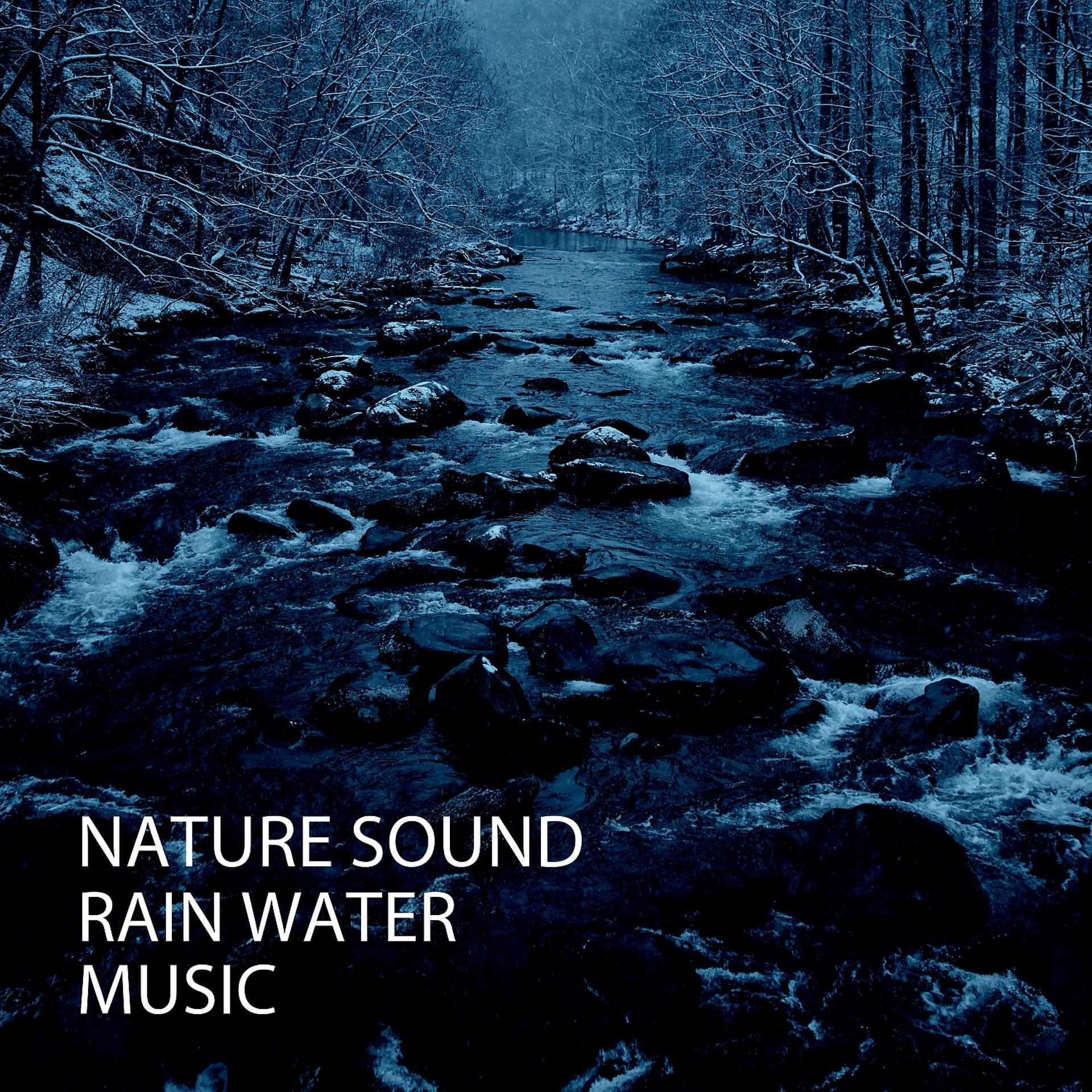 Постер альбома Nature Sound: Rain Water Music