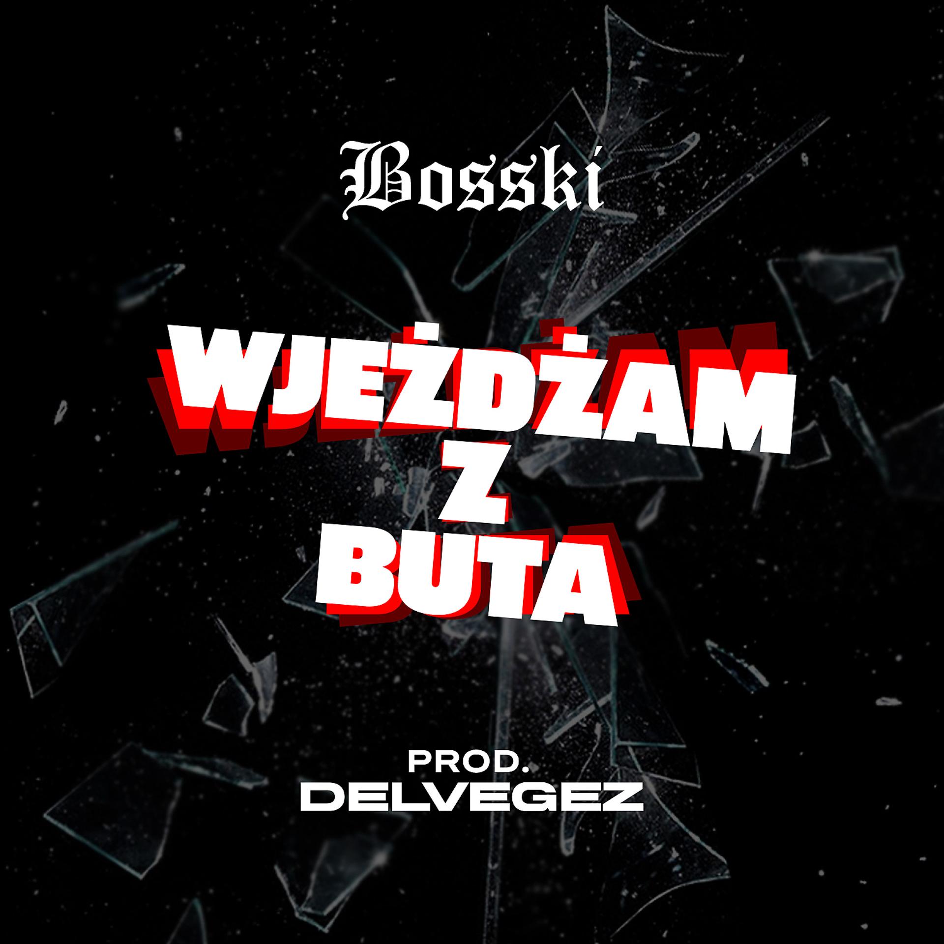 Постер альбома Wjeżdżam z buta (feat. Delvegez)