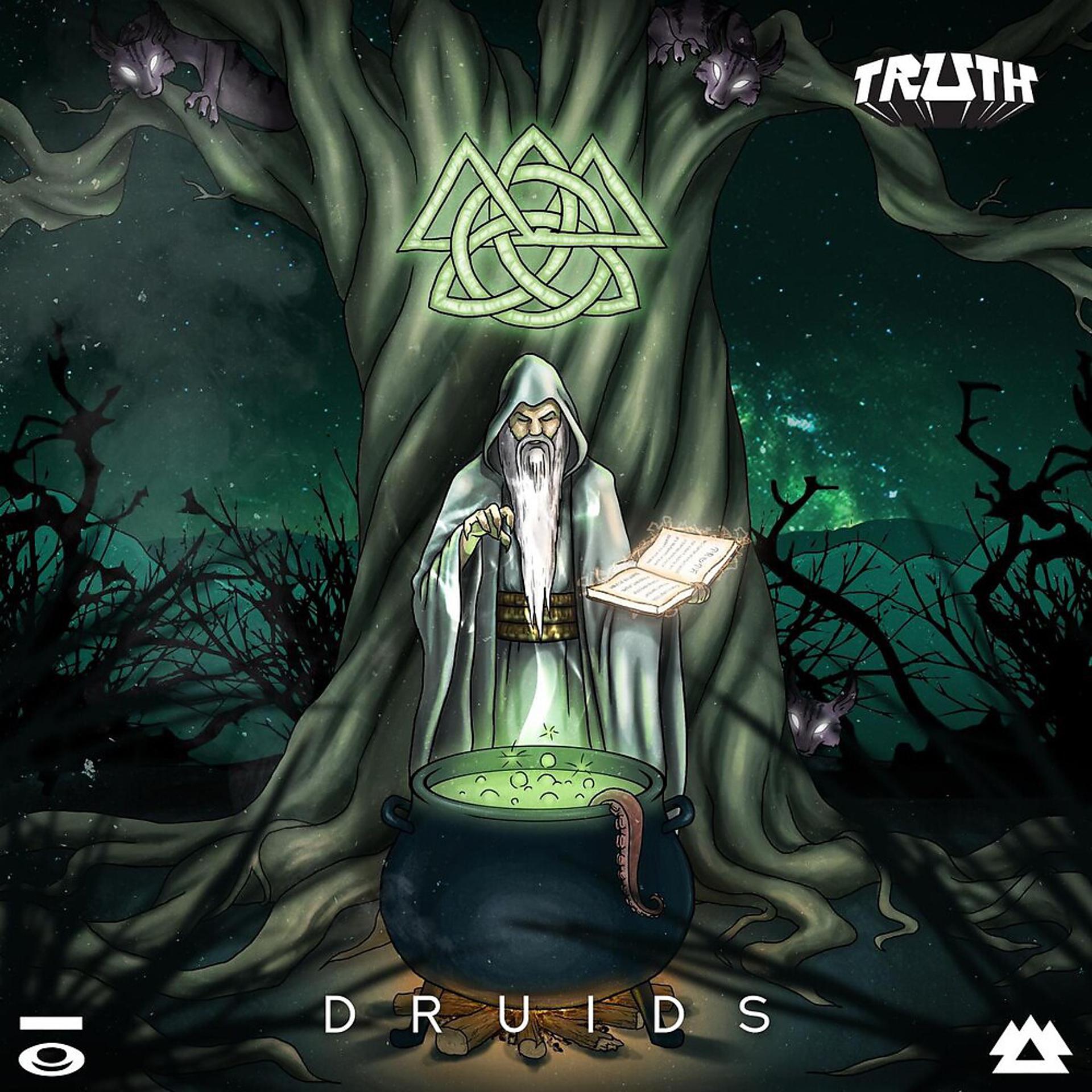 Постер альбома Druids