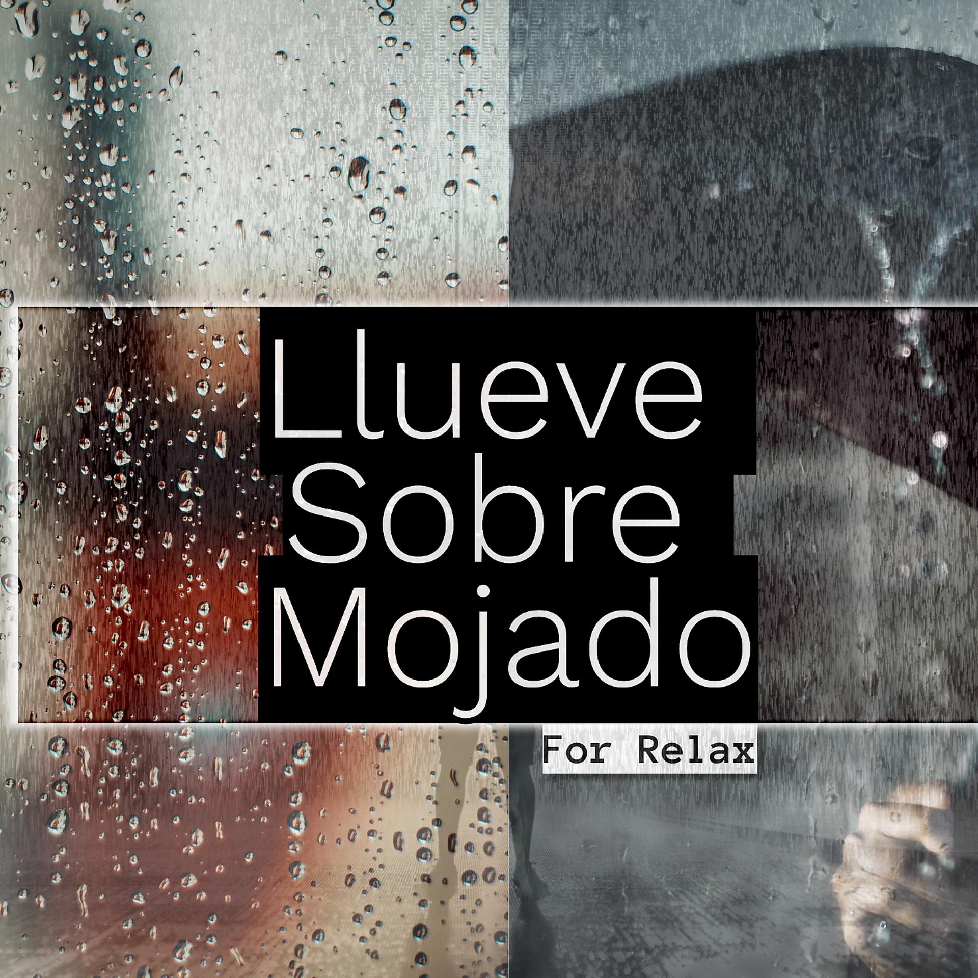Постер альбома Llueve Sobre Mojado