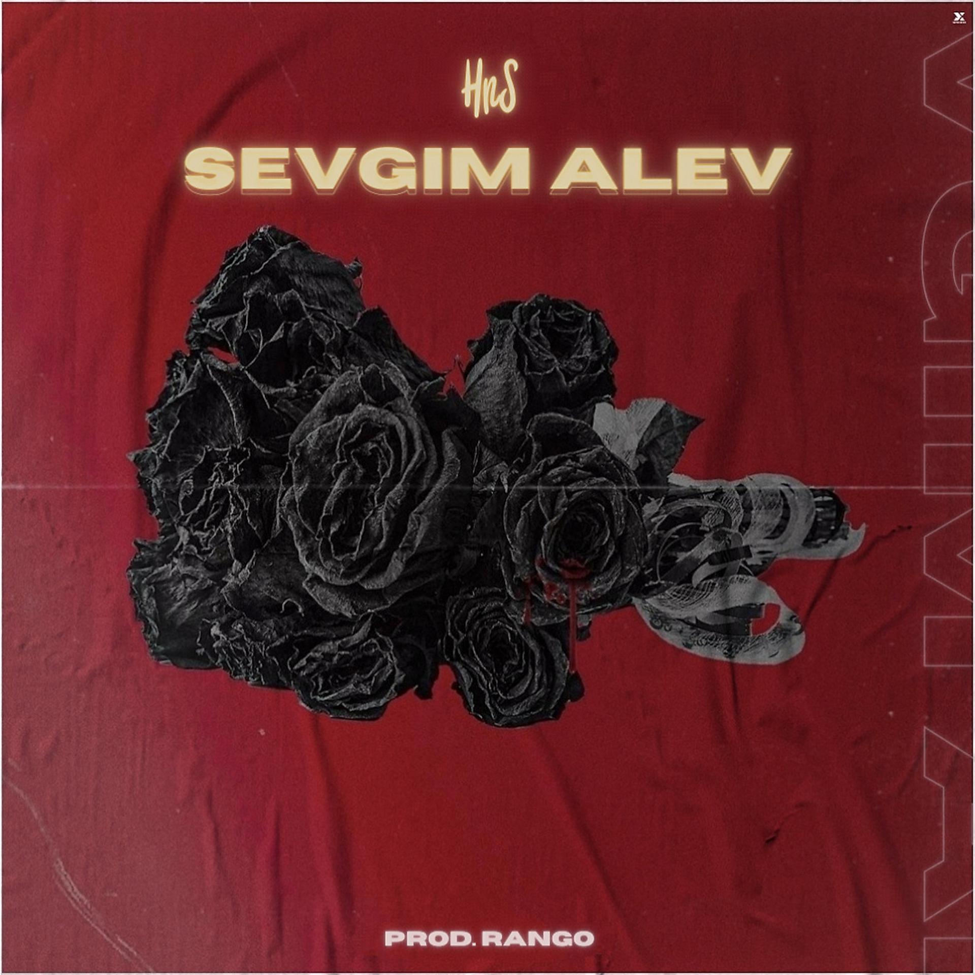 Постер альбома Sevgim Alev