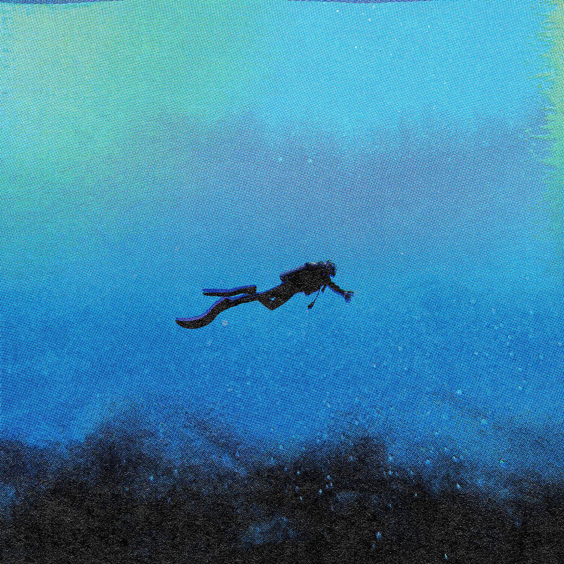 Постер альбома The Diver