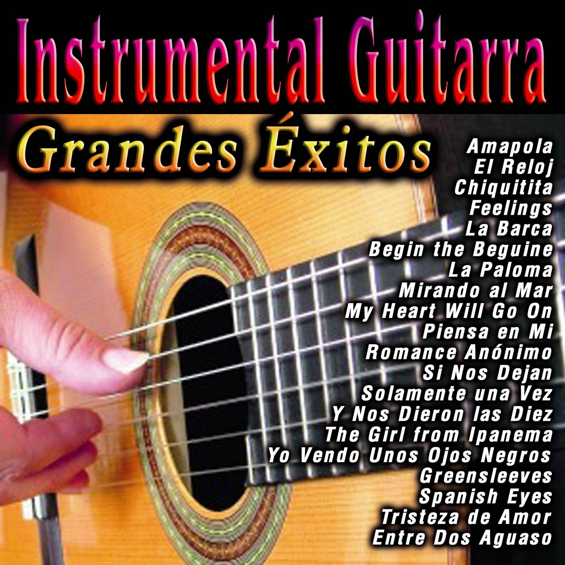 Постер альбома Instrumental Guitarra: Grandes Éxitos