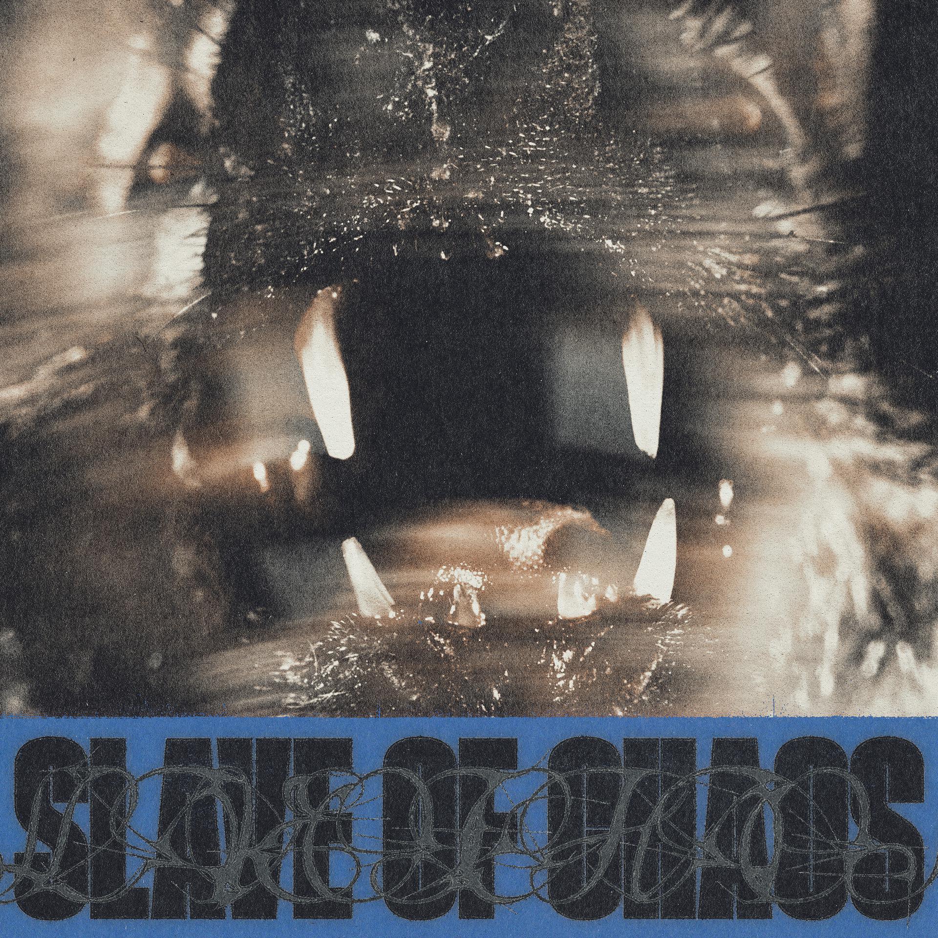 Постер альбома Slave Of Chaos