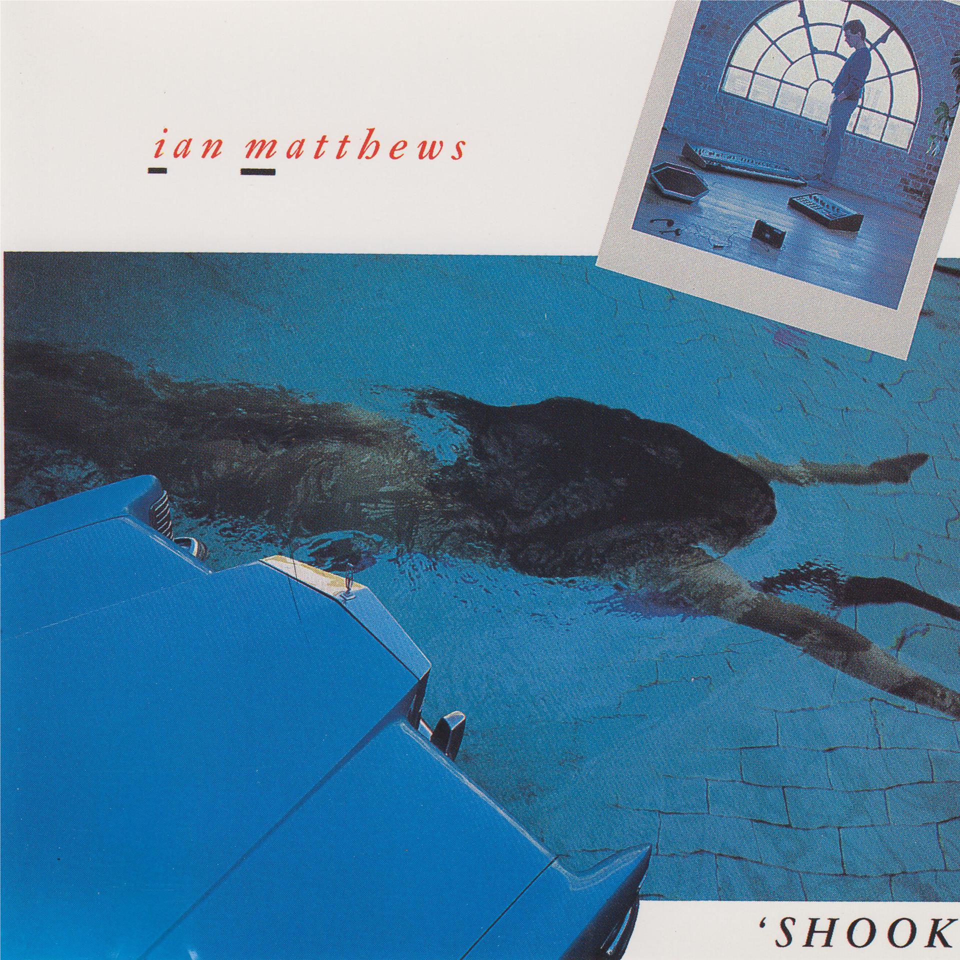 Постер альбома Shook