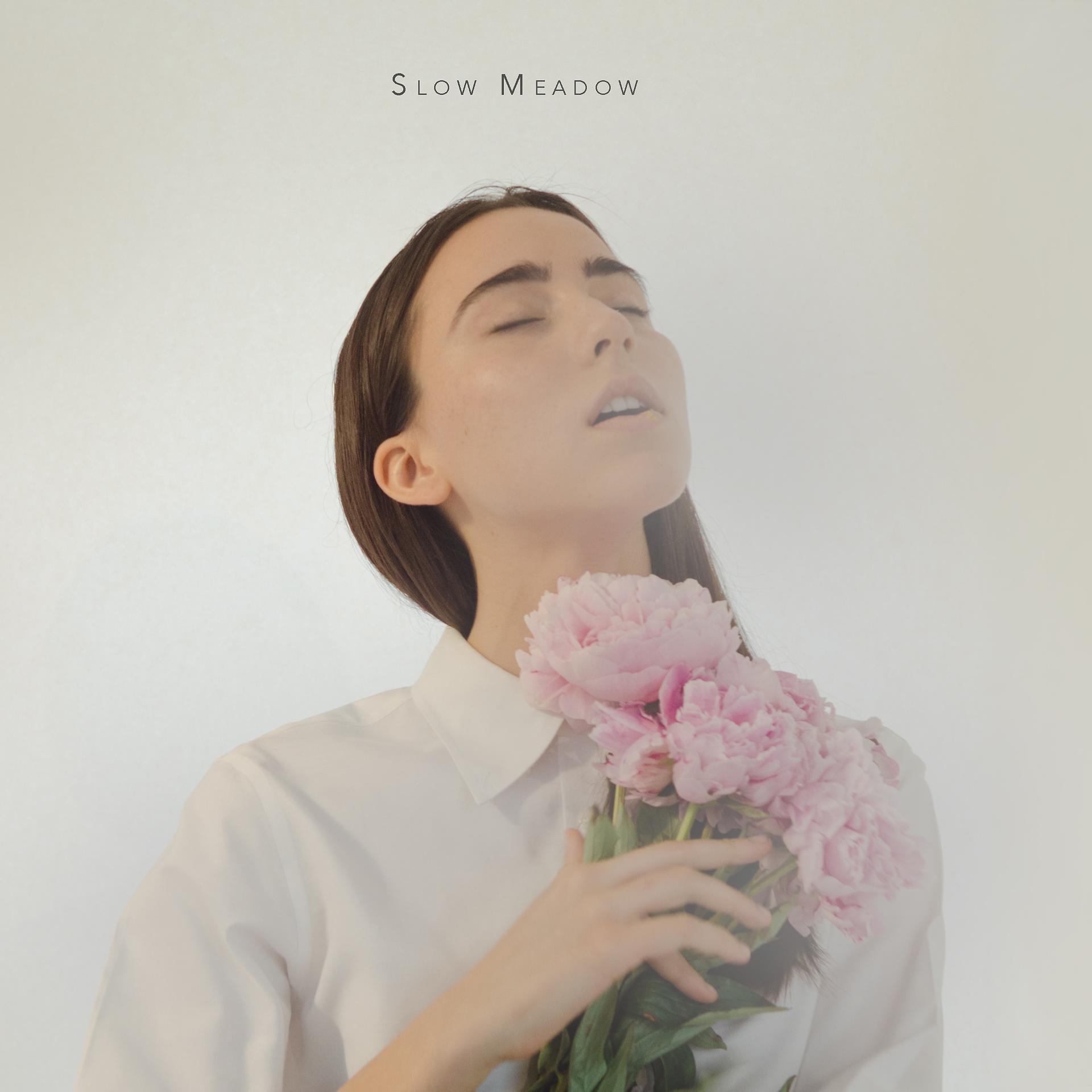 Постер альбома Slow Meadow