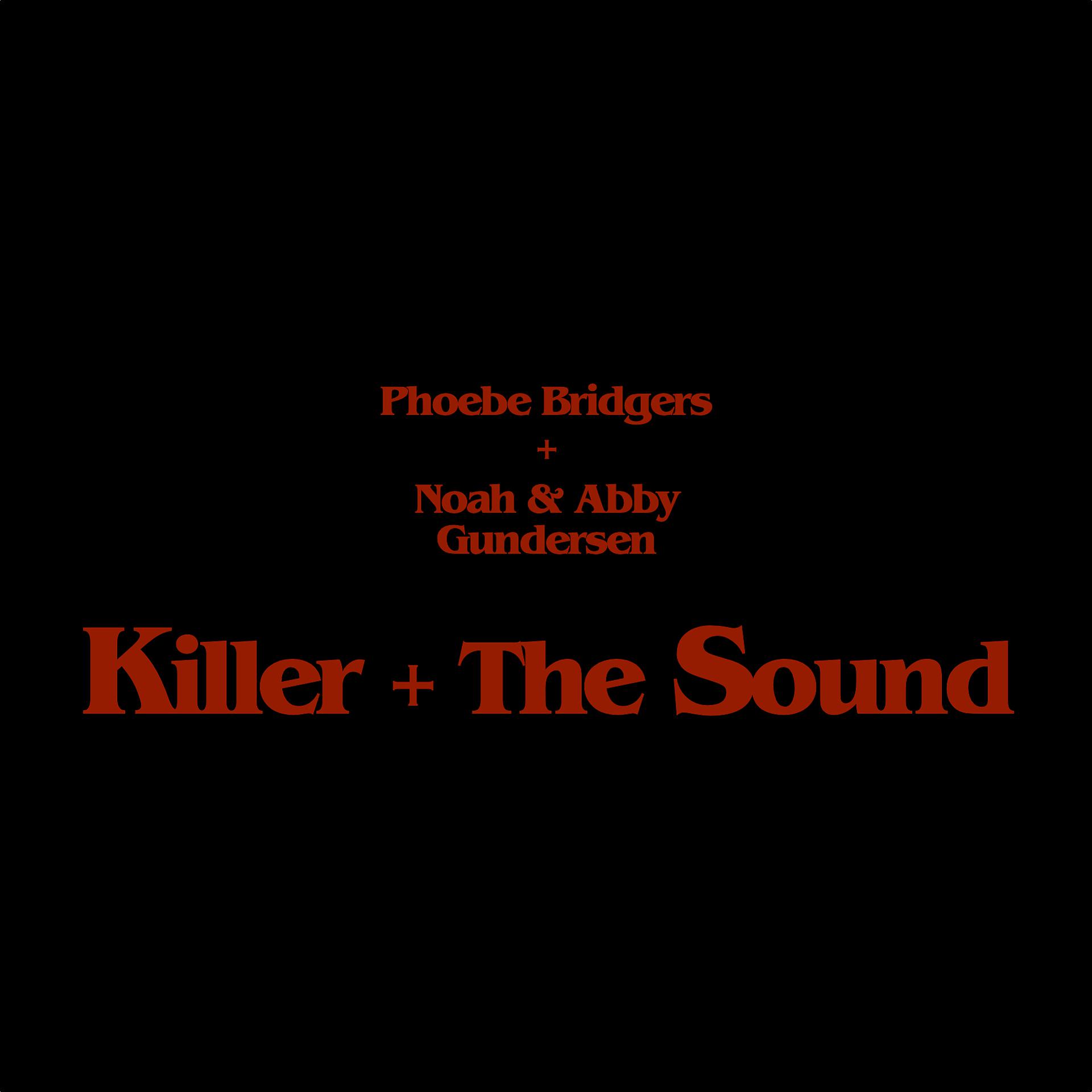 Постер альбома Killer + The Sound