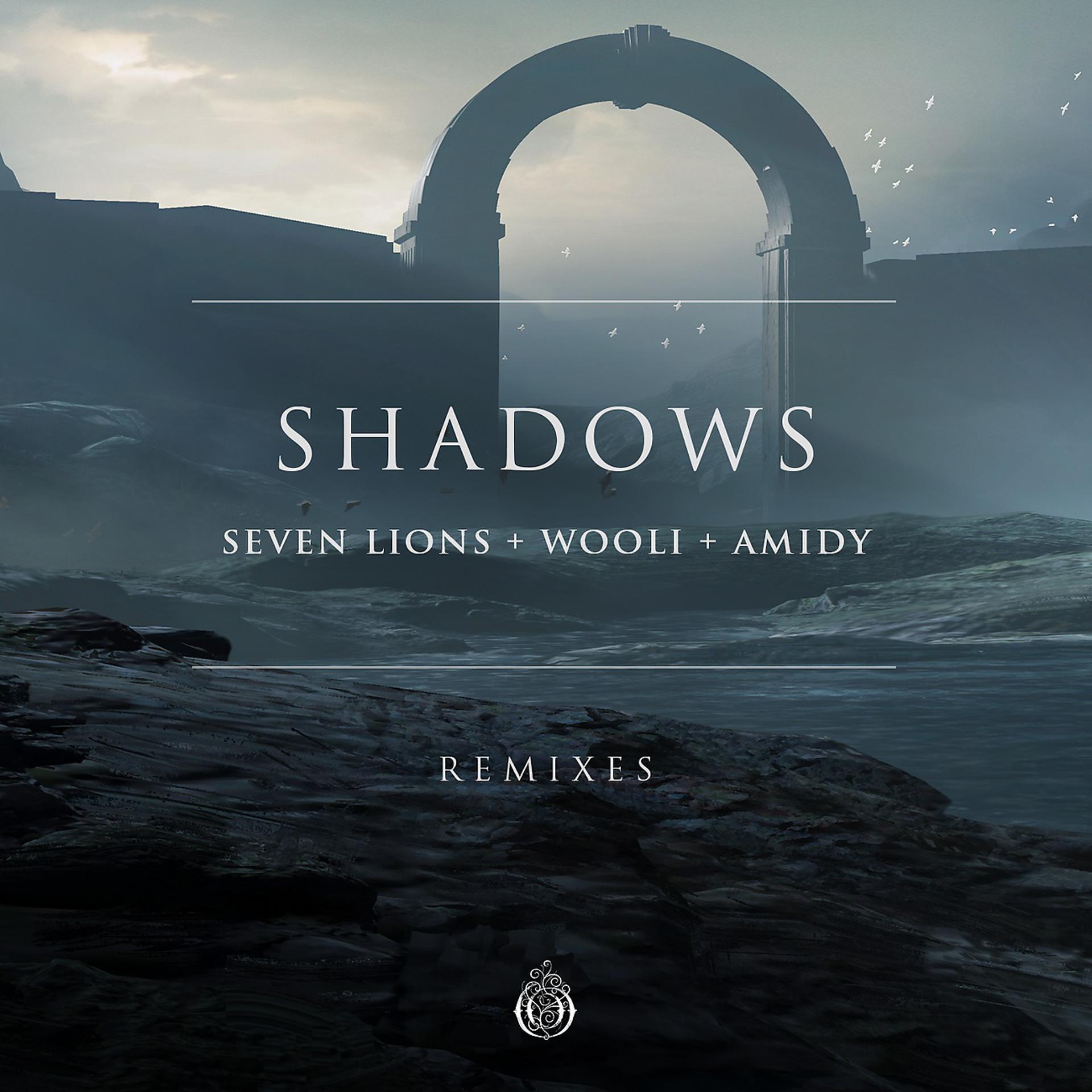 Постер альбома Shadows (Remixes)