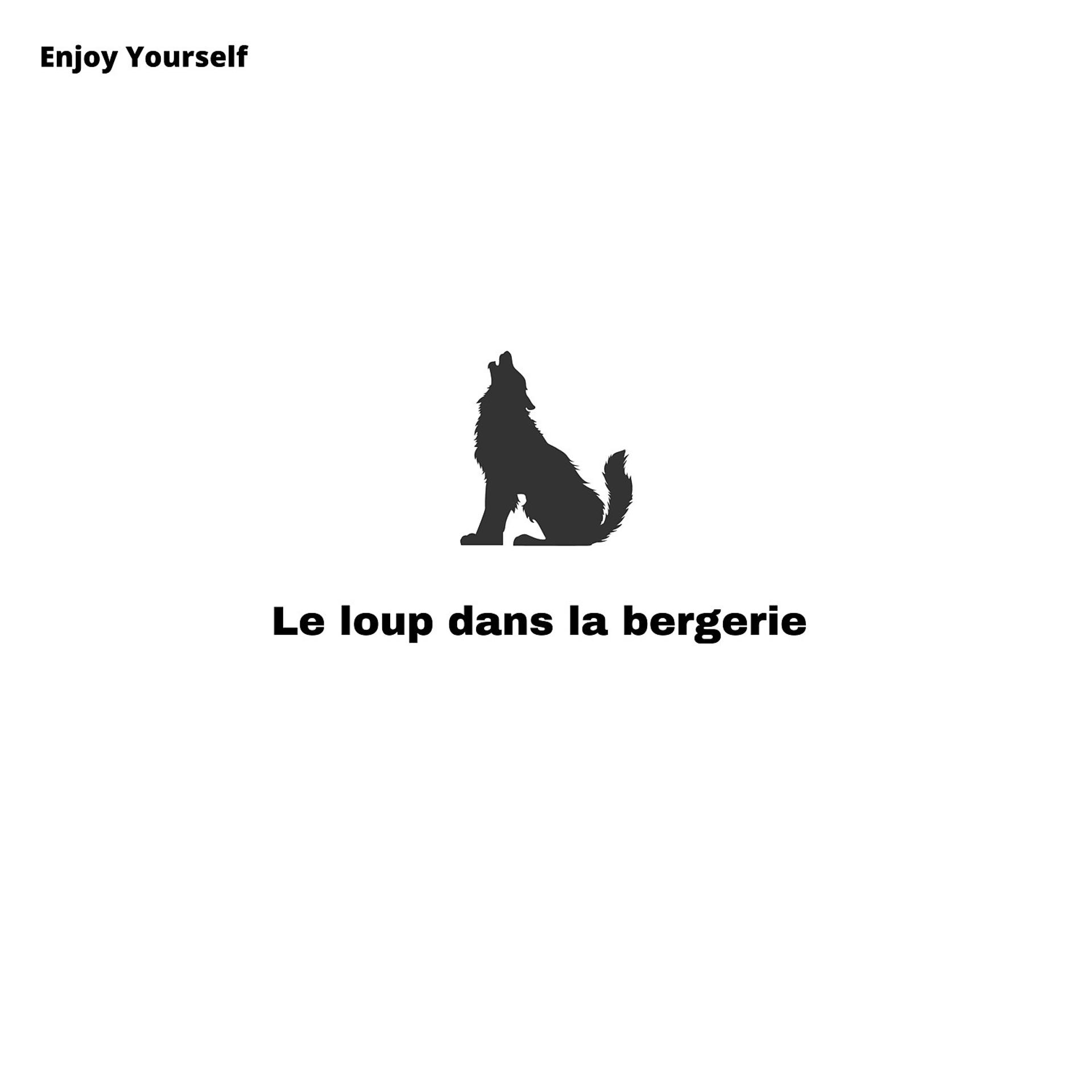 Постер альбома Le loup dans la bergerie