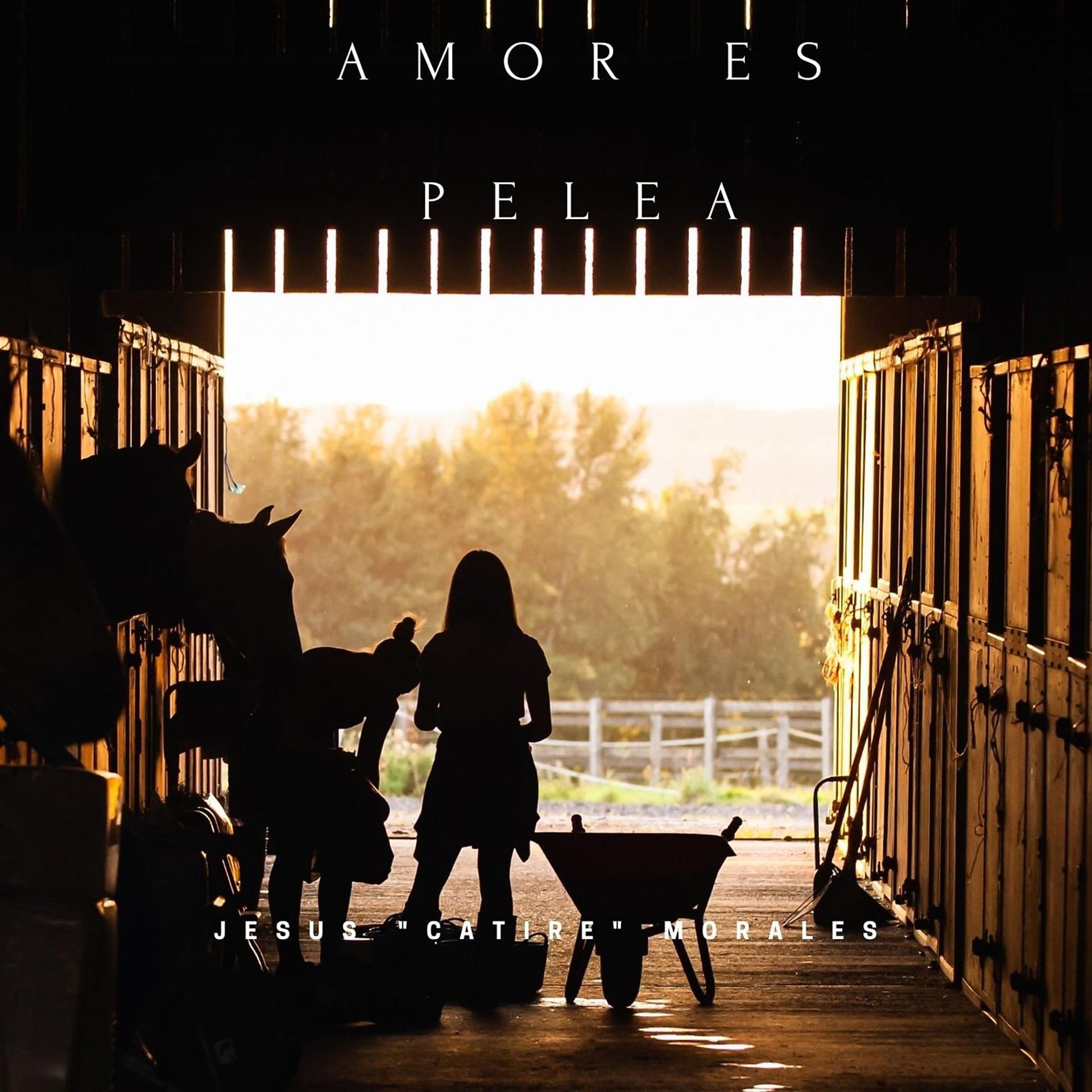 Постер альбома Amor Es Pelea