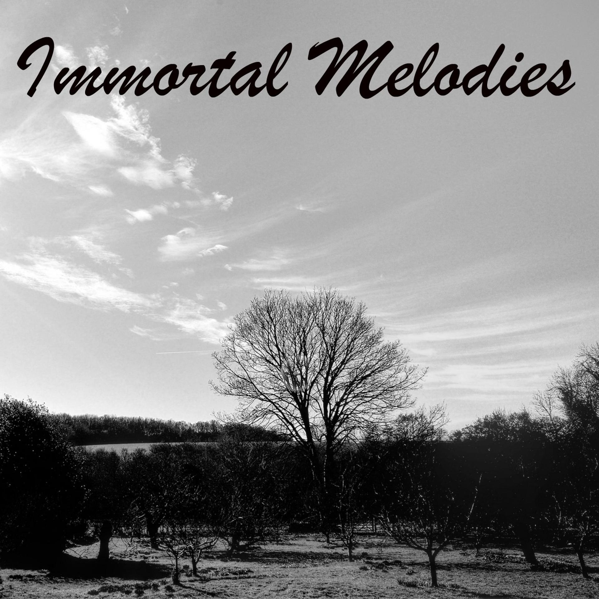 Постер альбома Immortal Melodies